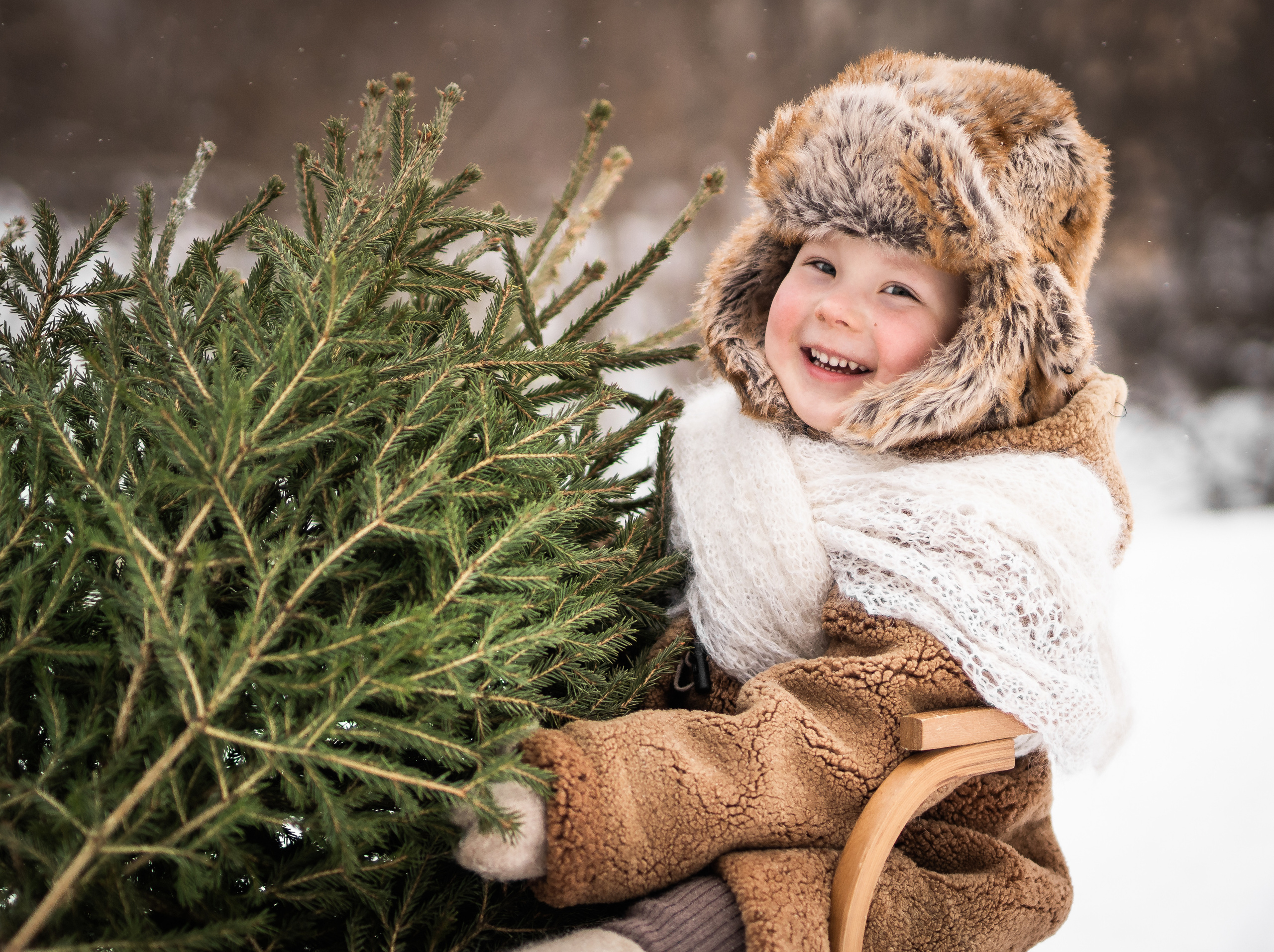 26.12.21. Семейный фотограф Ефремова Виктория