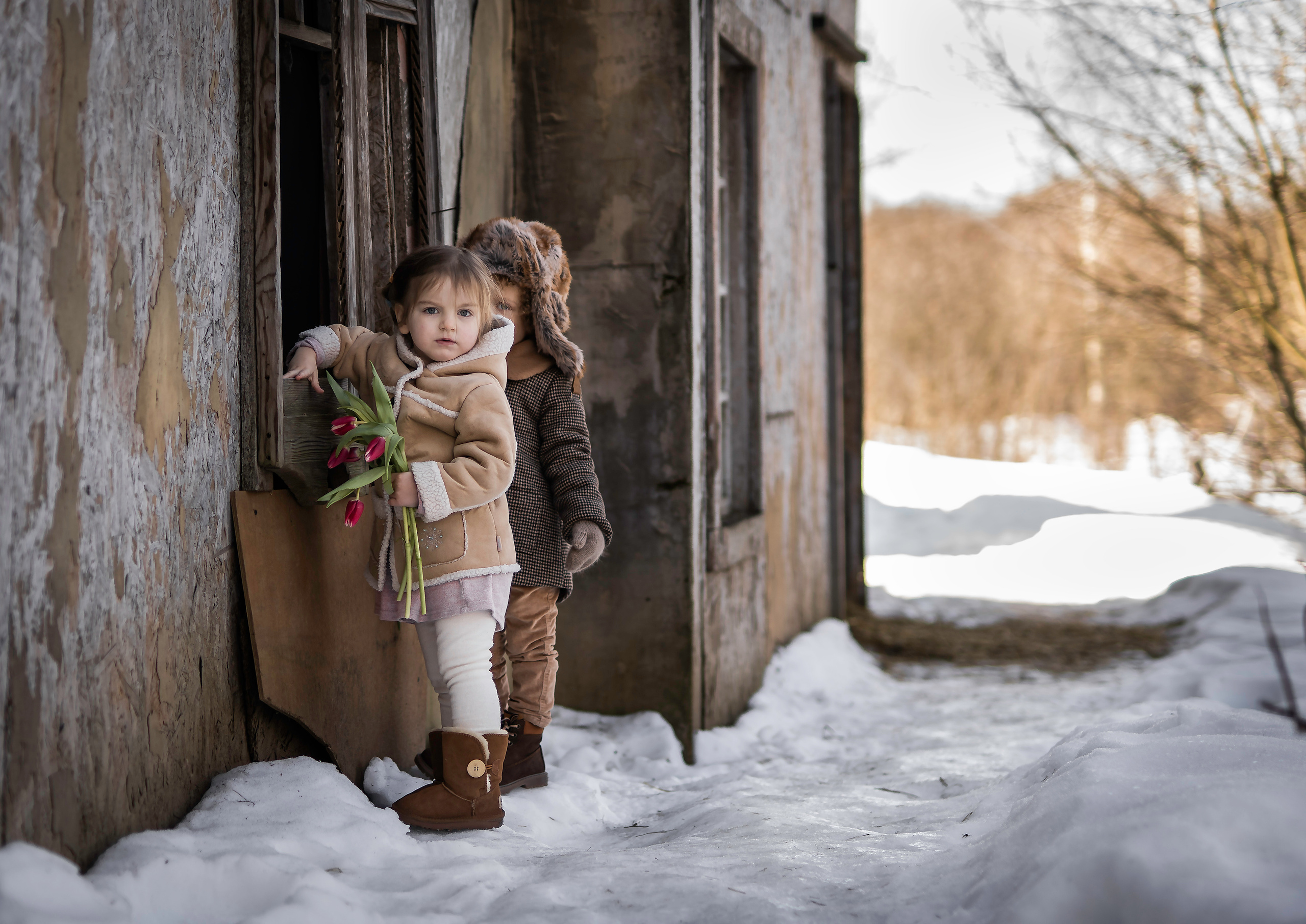 Малыши и тюльпаны. Семейный фотограф Ефремова Виктория