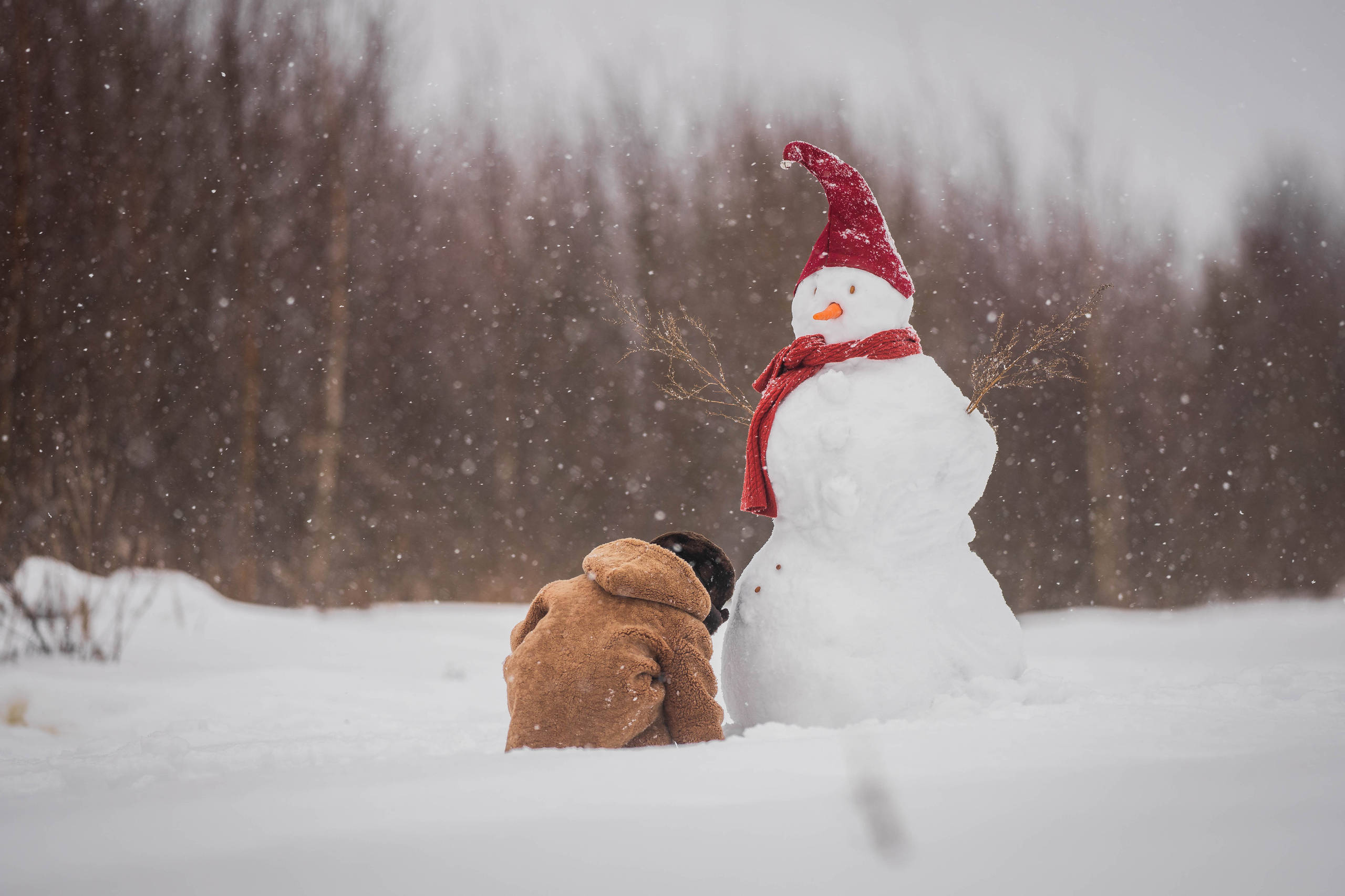 Январь, снеговик, дети. Семейный фотограф Ефремова Виктория