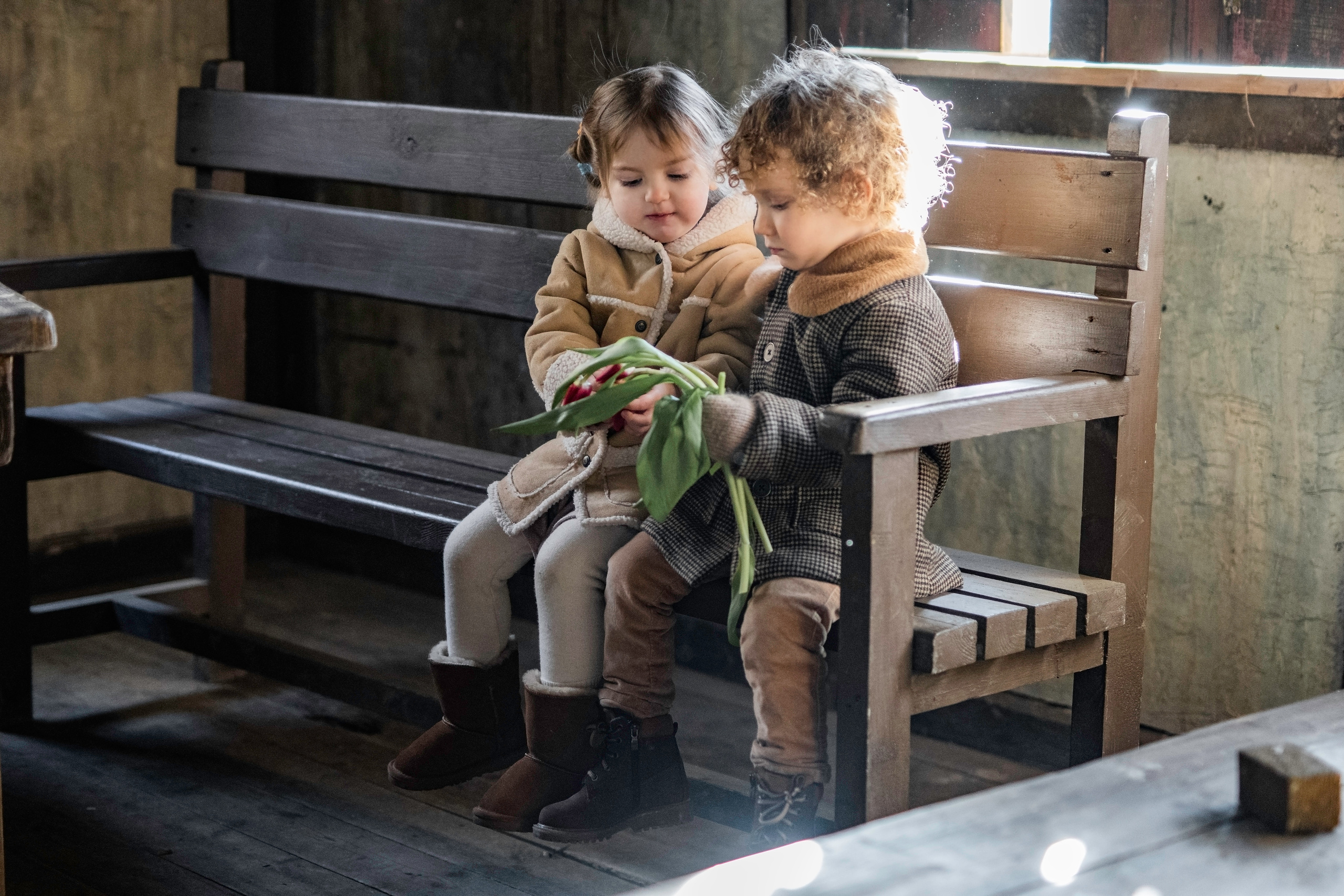 Малыши и тюльпаны. Семейный фотограф Ефремова Виктория