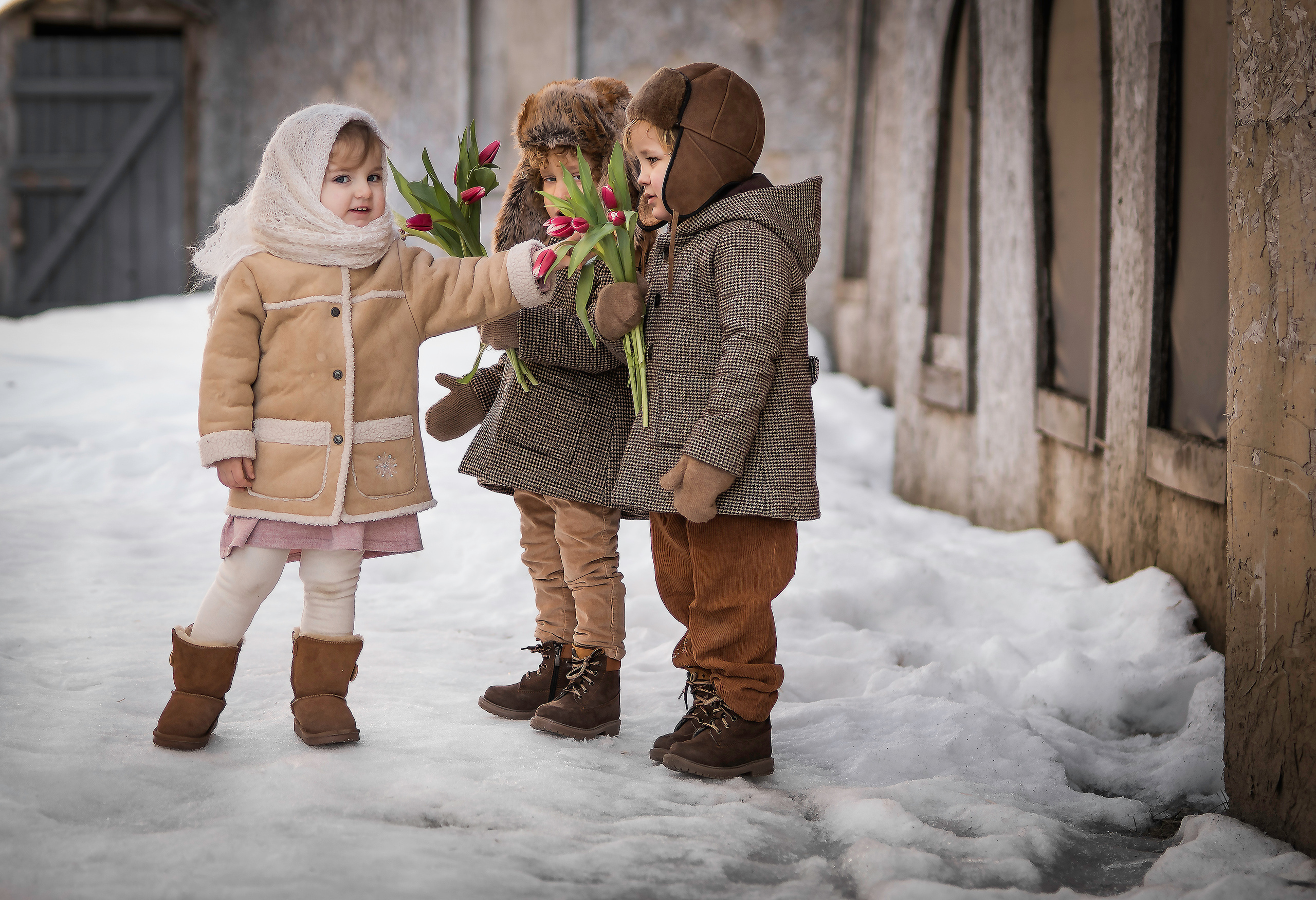 Малыши и тюльпаны. Семейный фотограф Ефремова Виктория