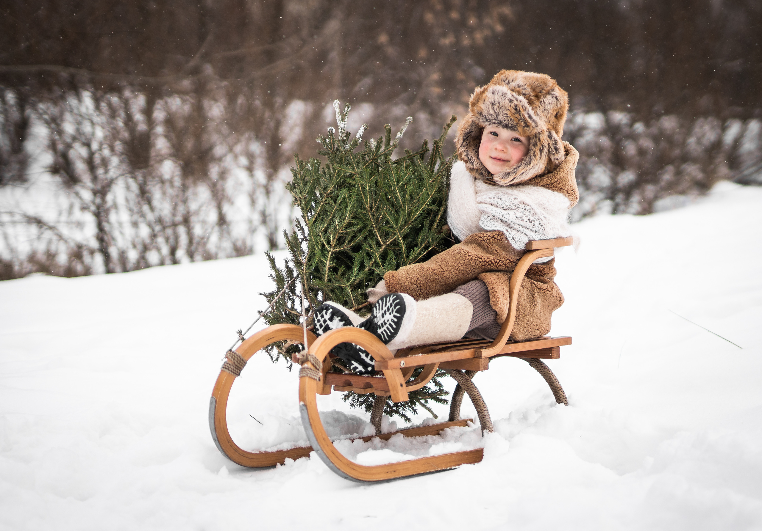 26.12.21. Семейный фотограф Ефремова Виктория