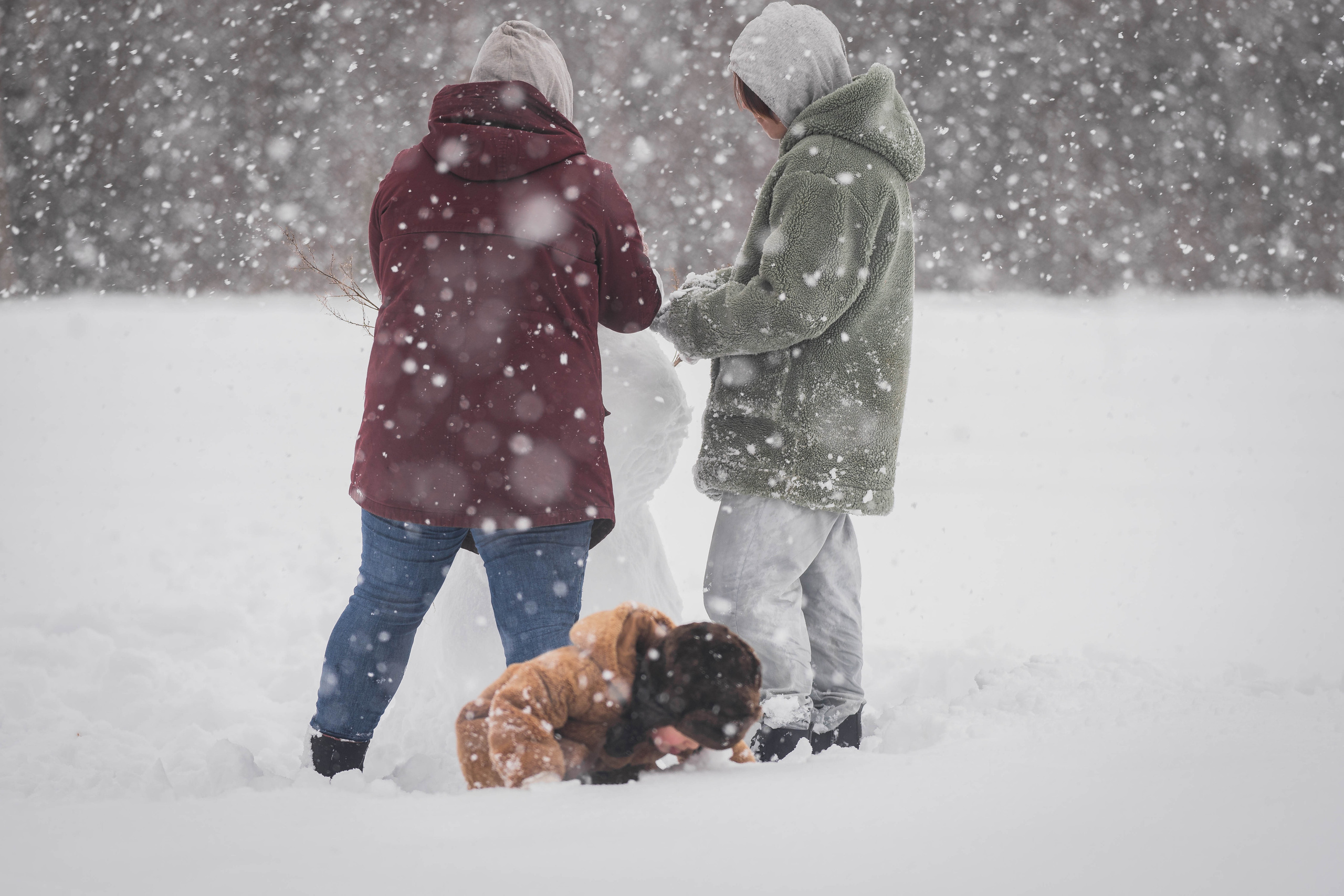 Январь, снеговик, дети. Семейный фотограф Ефремова Виктория
