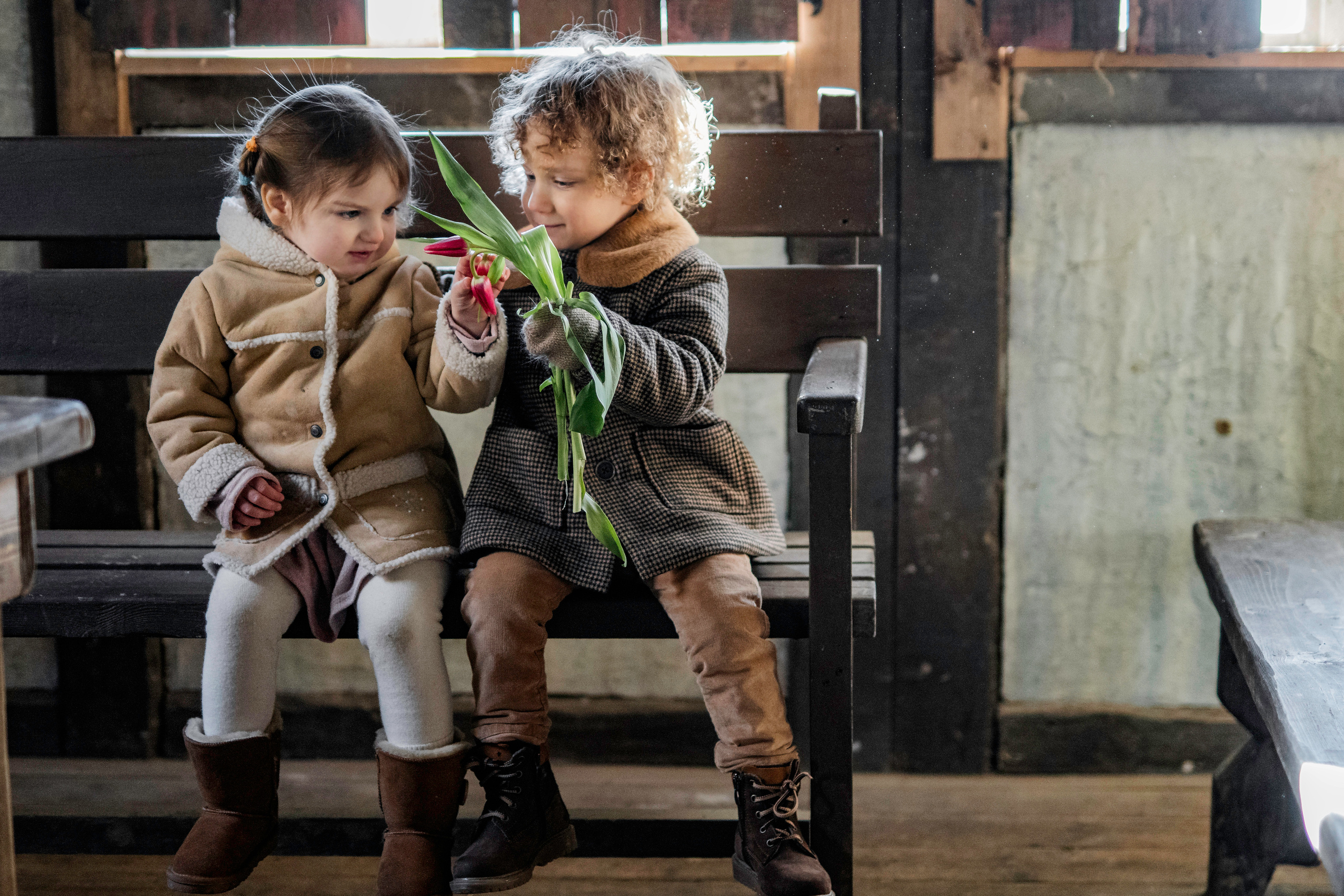 Малыши и тюльпаны. Семейный фотограф Ефремова Виктория