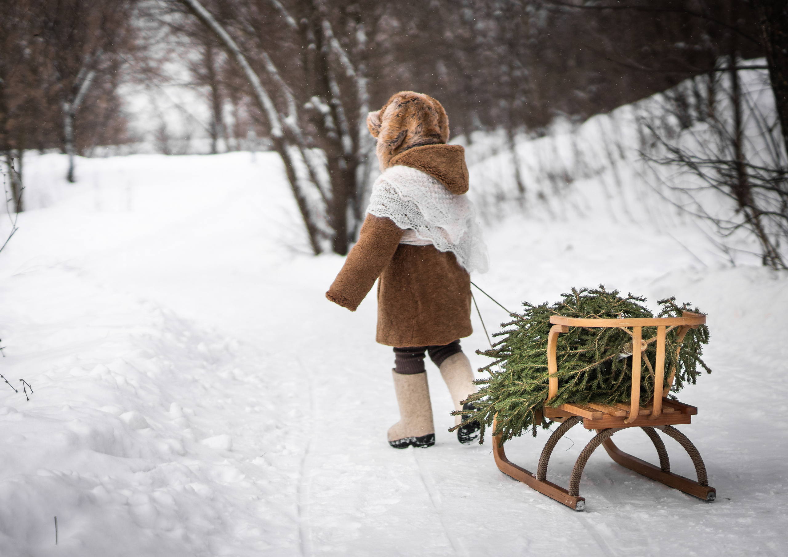 26.12.21. Семейный фотограф Ефремова Виктория