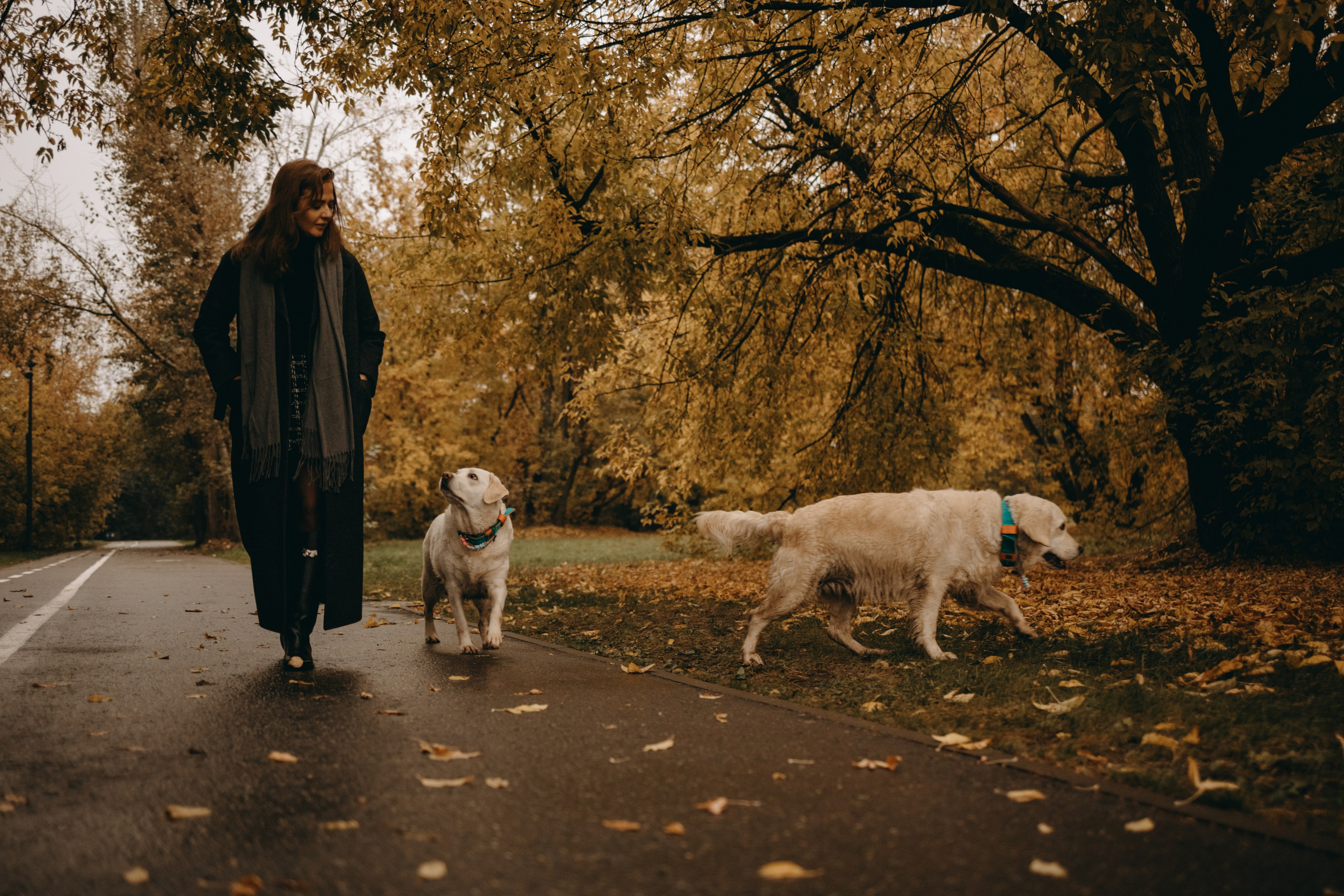 Женя и ее девочки. Фотограф — Анималист | Санкт-Петербург