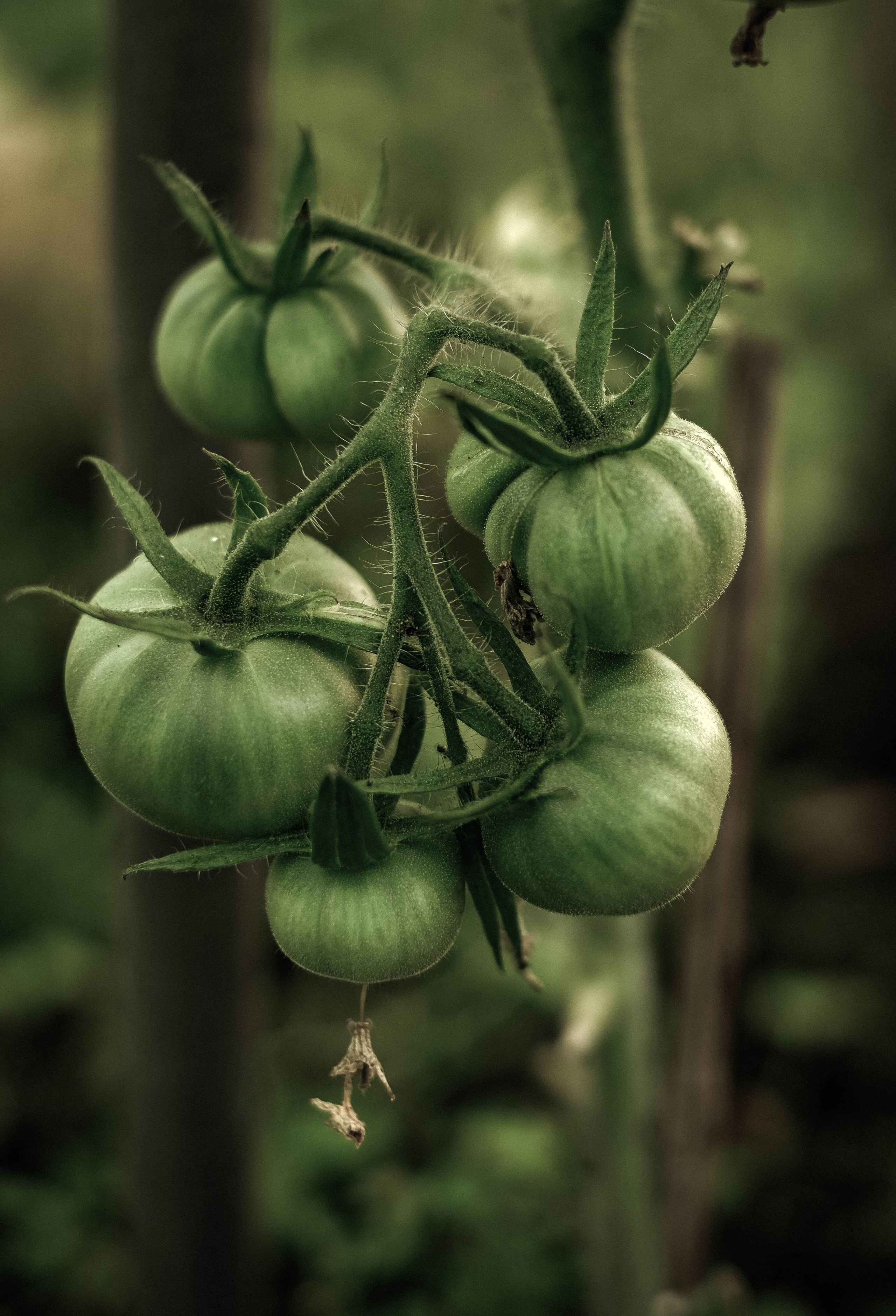 Курс «Психология на грядке». АRТ&PSY | Искусство психологии