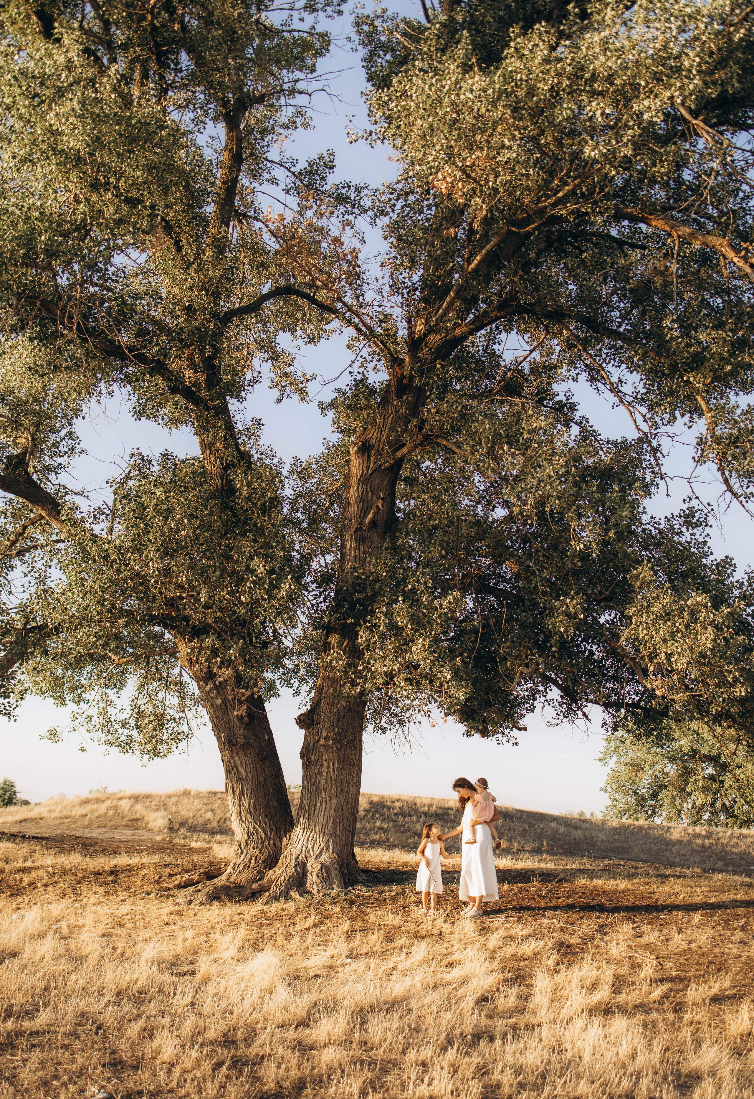 Цветочное настроение. Фотограф Алевтина Матешук