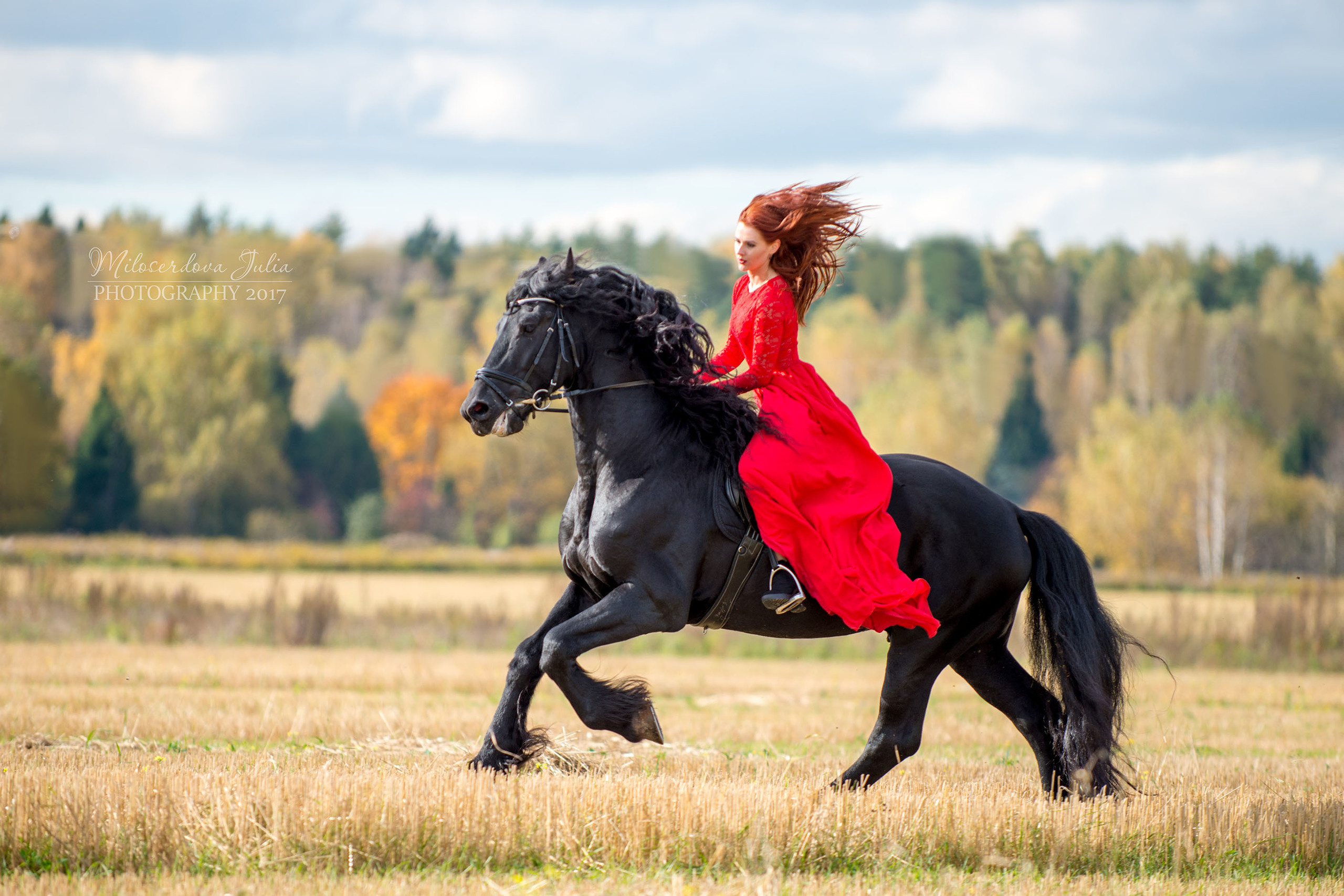 Фотосессии с лошадьми. Фотограф Юлия Милосердова