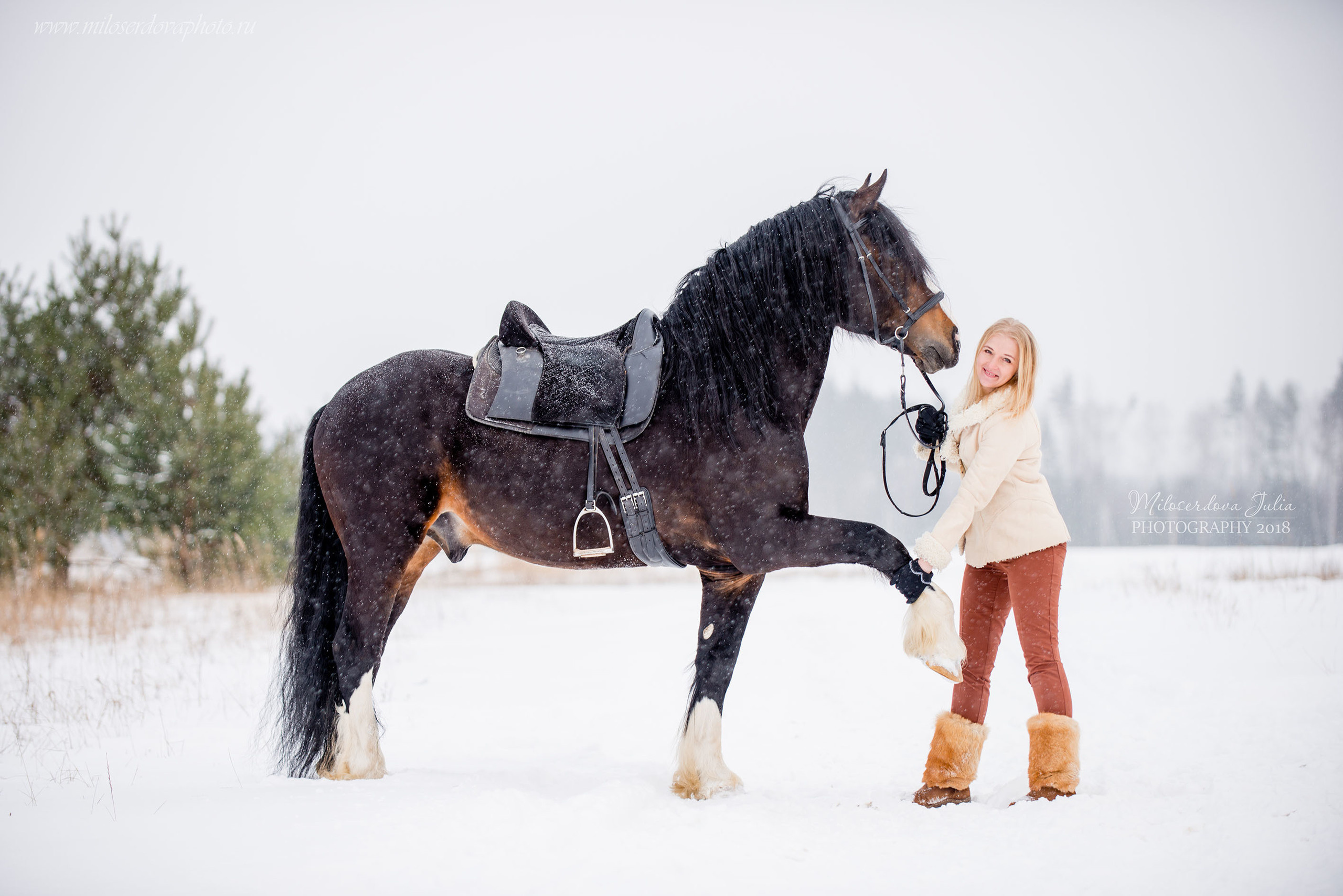 Фотосессии с лошадьми. Фотограф Юлия Милосердова