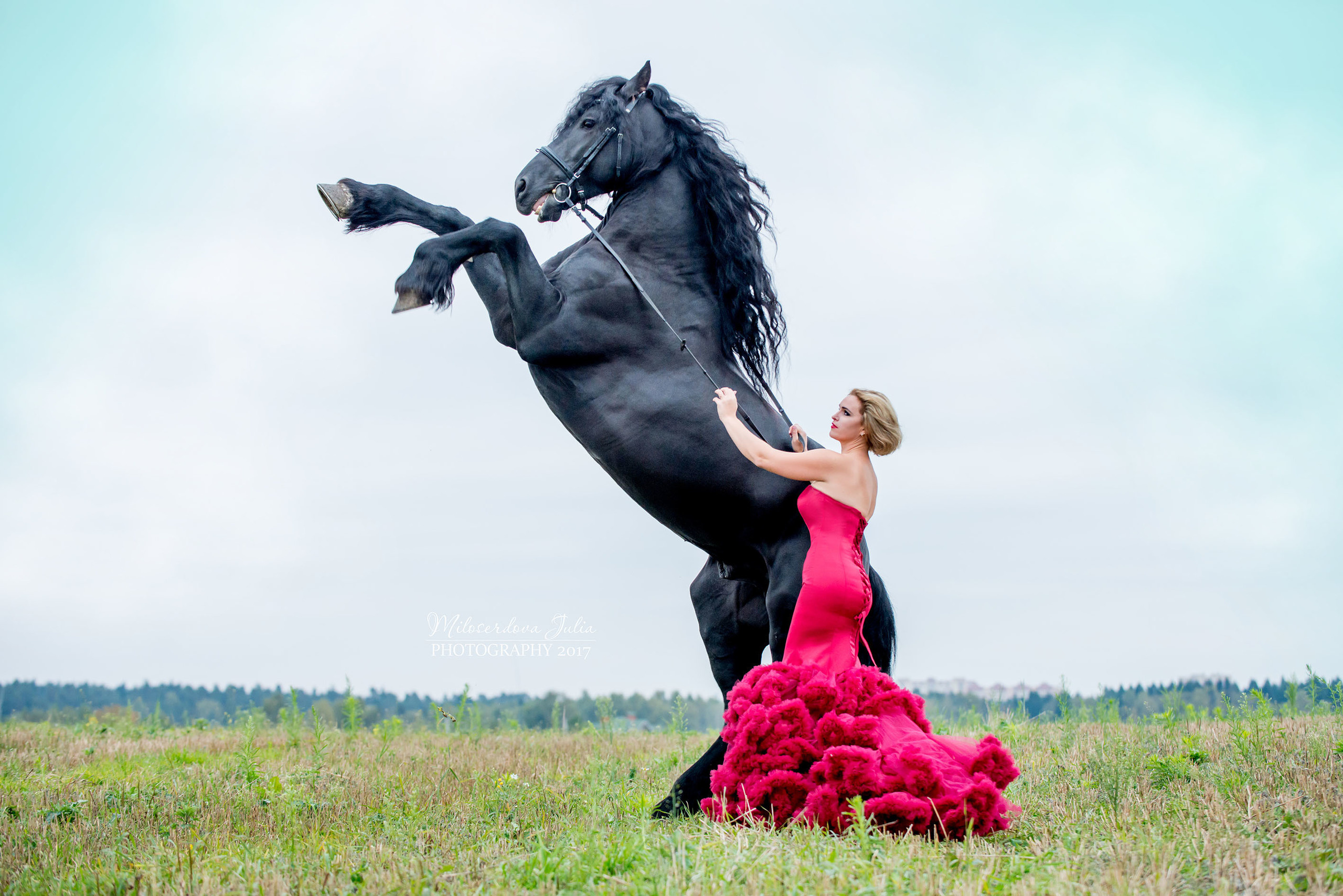 Фотосессии с лошадьми. Фотограф Юлия Милосердова