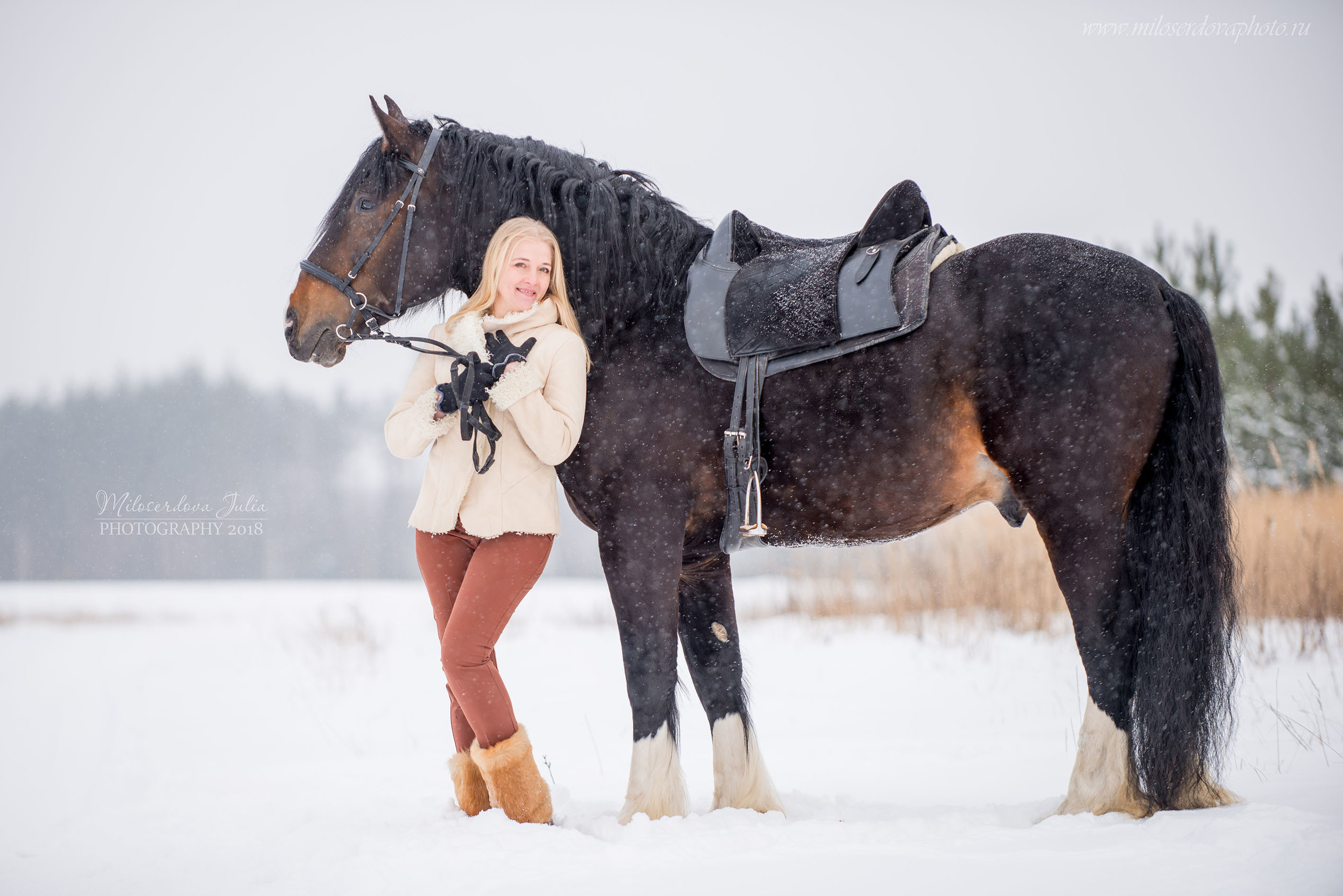 Фотосессии с лошадьми. Фотограф Юлия Милосердова