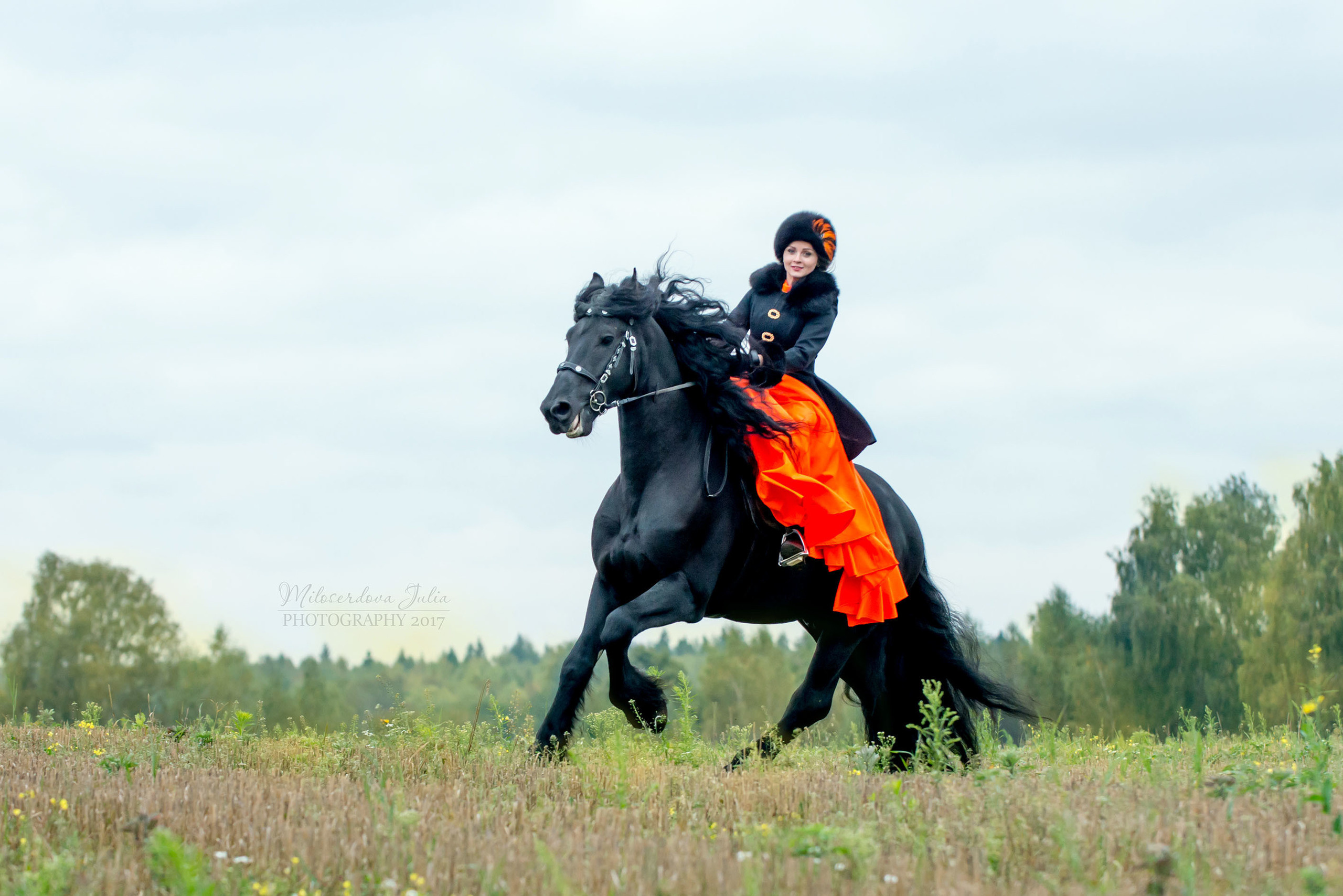Фотосессии с лошадьми. Фотограф Юлия Милосердова
