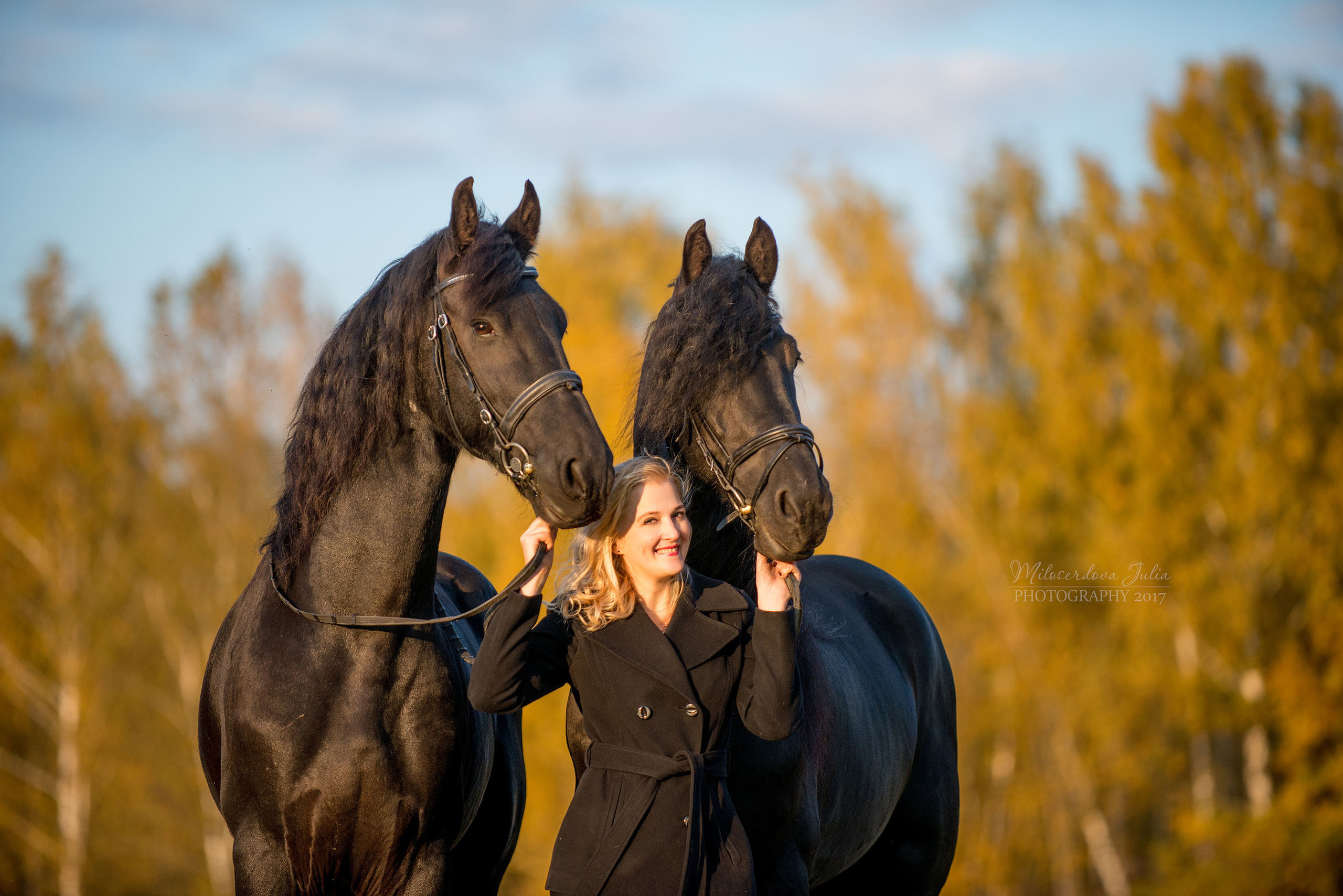 Фотосессии с лошадьми. Фотограф Юлия Милосердова