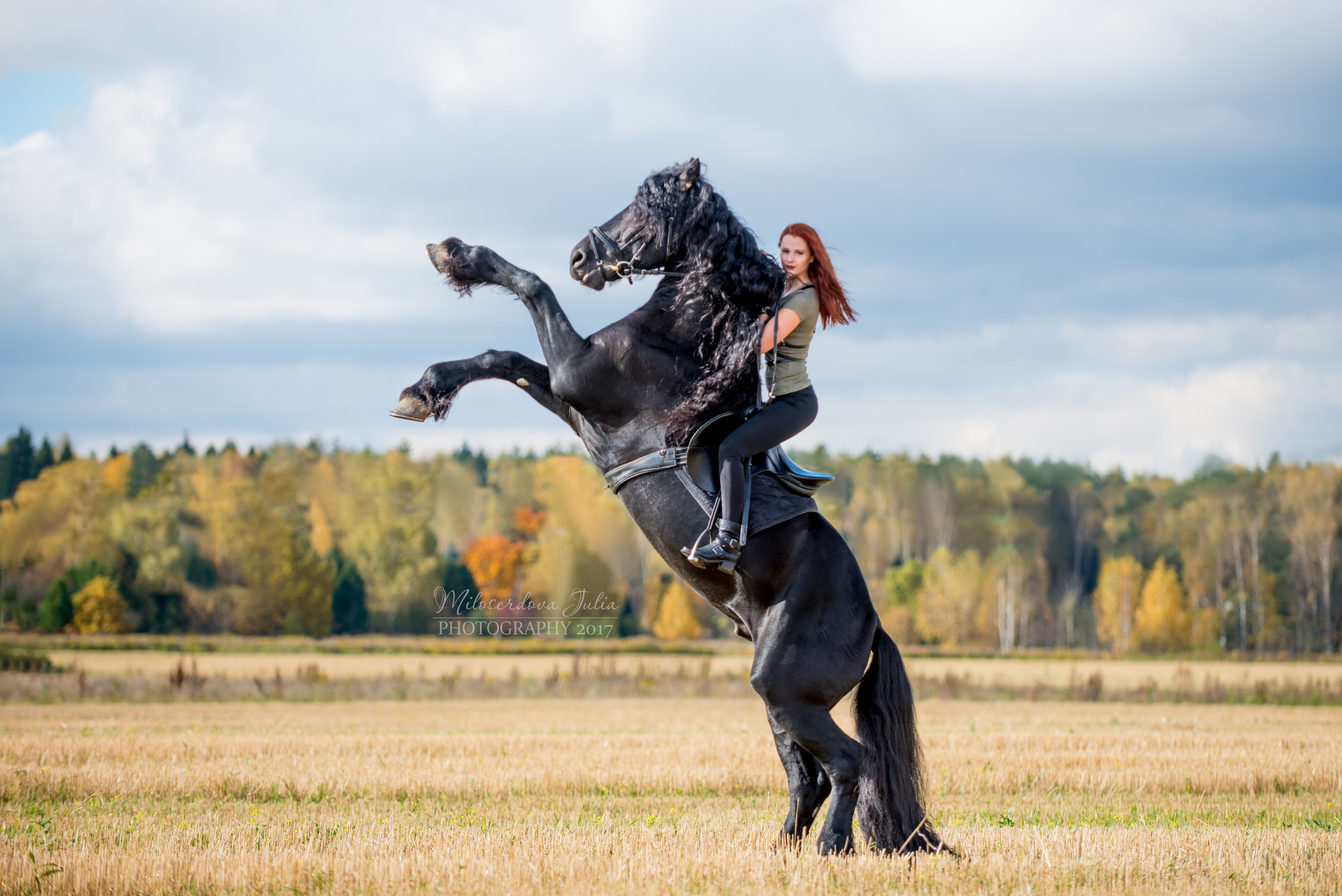 Фотосессии с лошадьми. Фотограф Юлия Милосердова