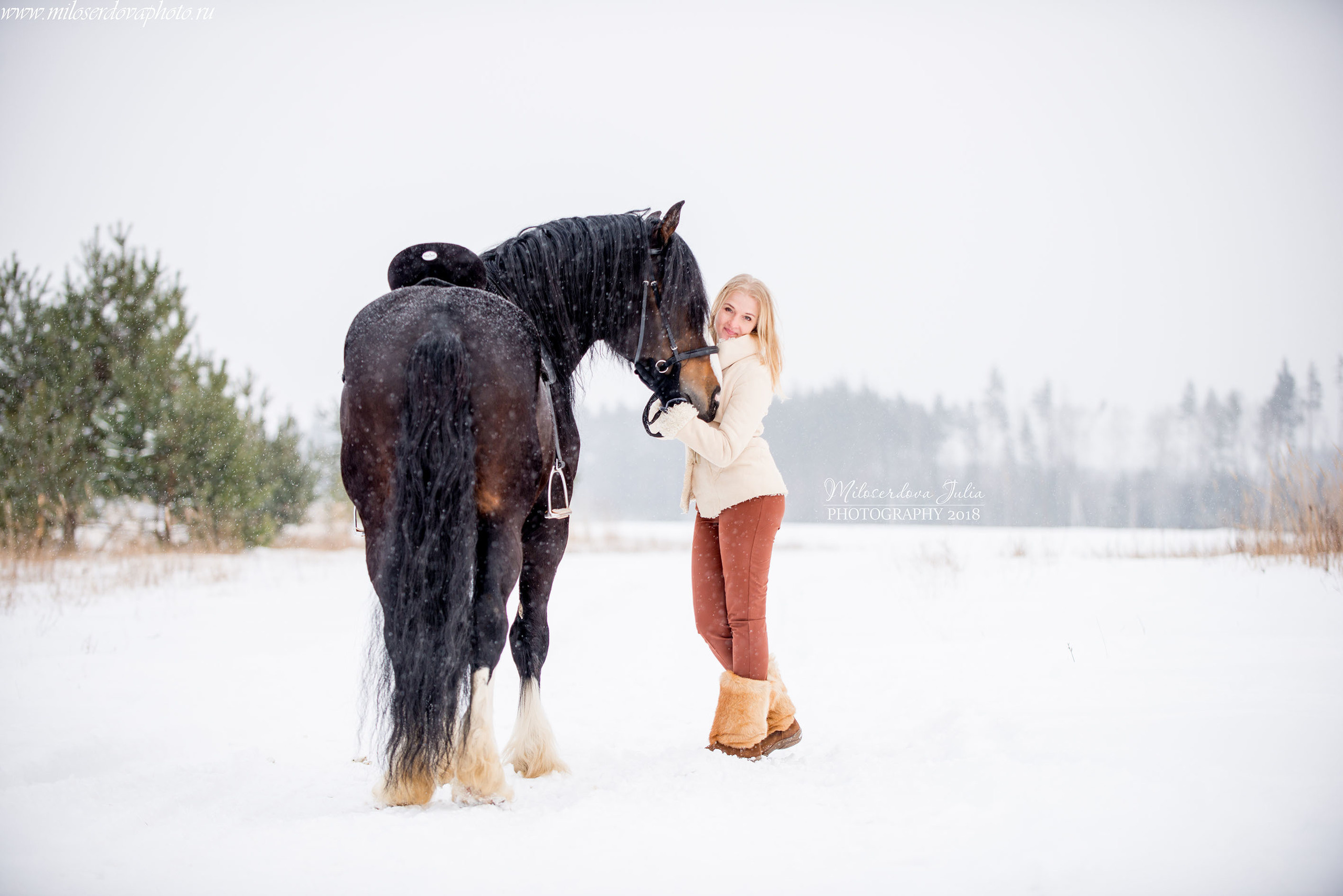 Фотосессии с лошадьми. Фотограф Юлия Милосердова
