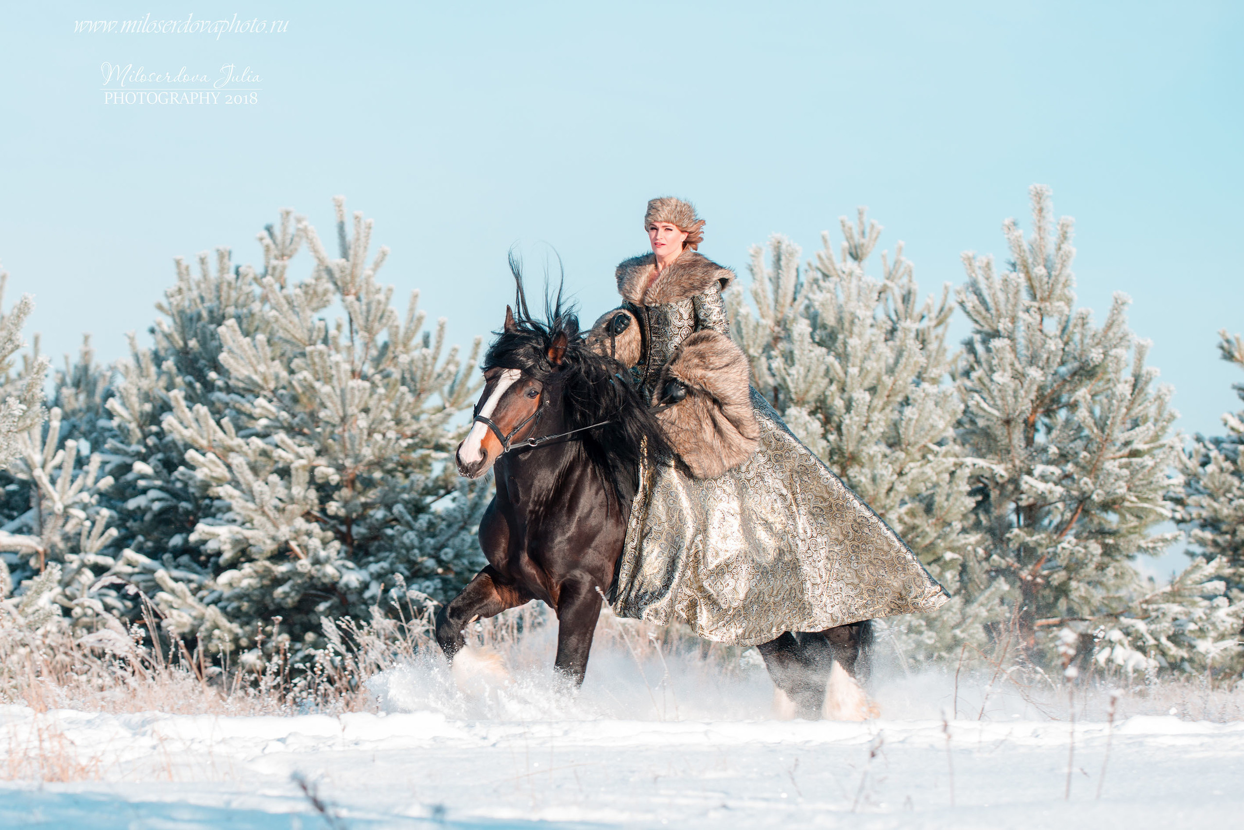 Фотосессии с лошадьми. Фотограф Юлия Милосердова