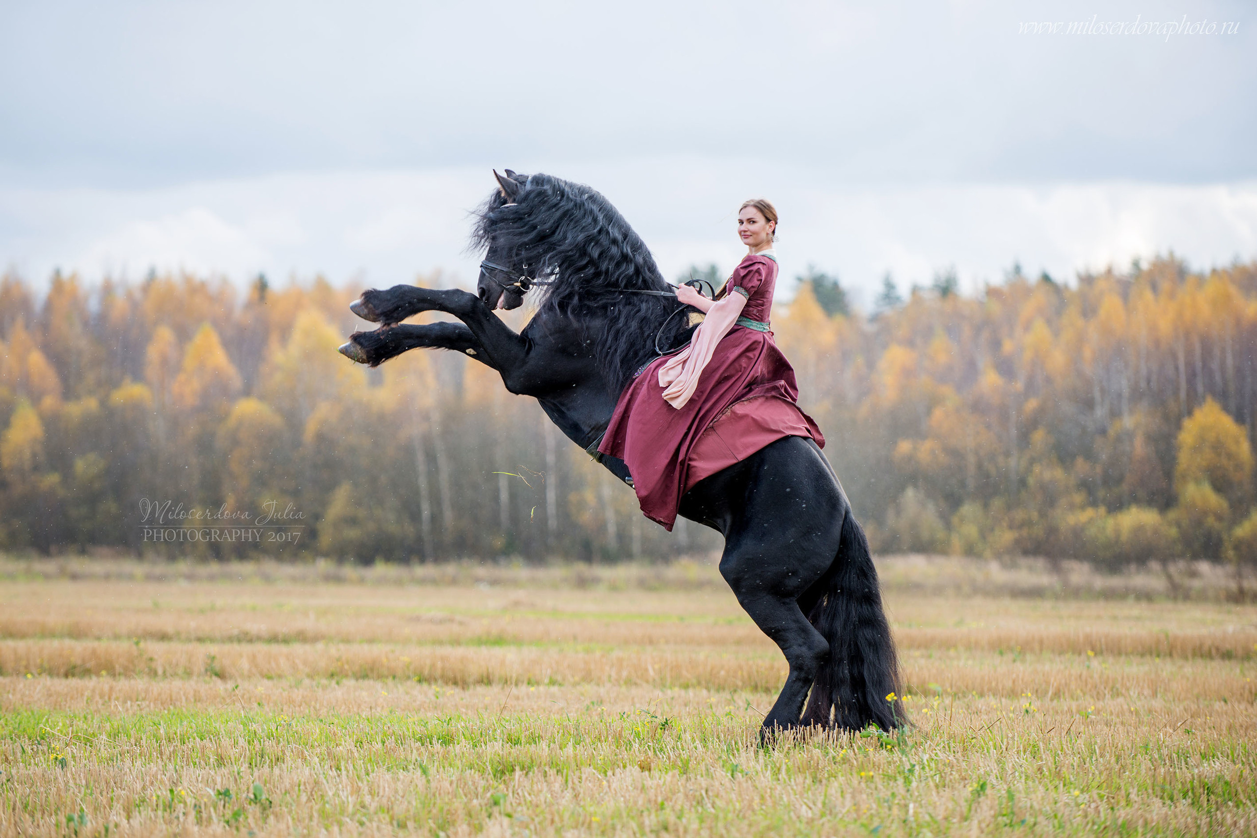 Фотосессии с лошадьми. Фотограф Юлия Милосердова