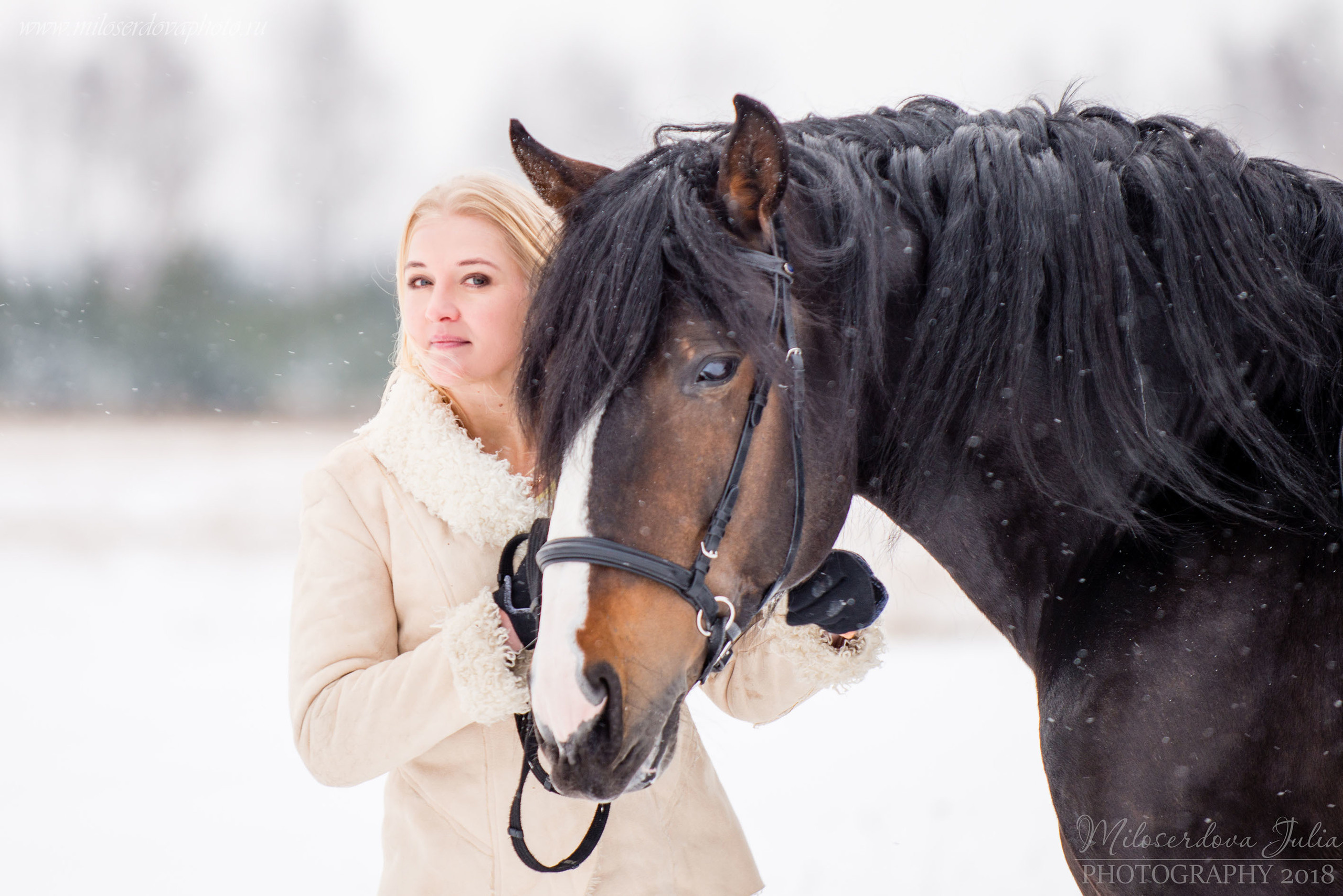 Фотосессии с лошадьми. Фотограф Юлия Милосердова