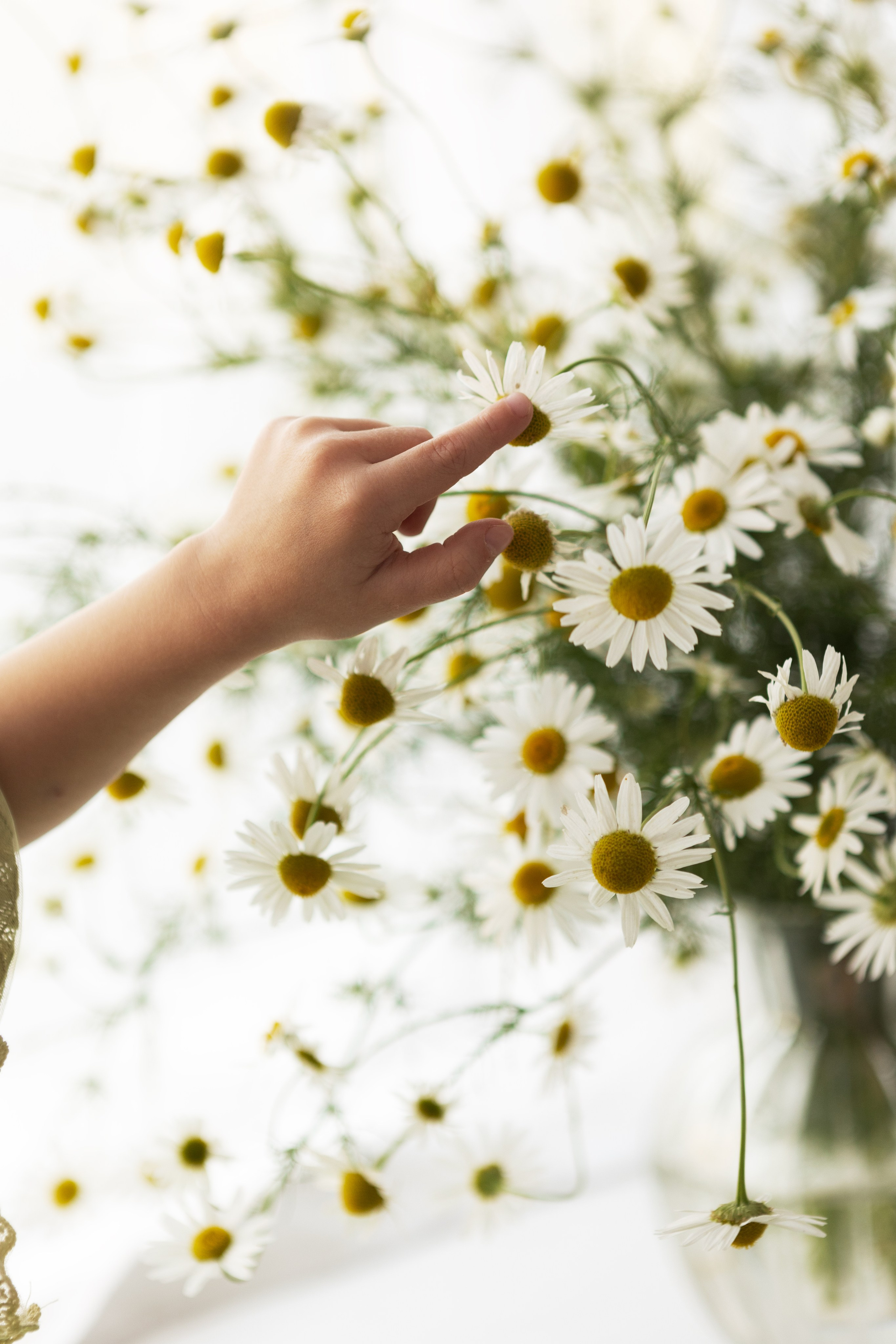 Валентина, Никита и Анфиса. Фотограф Алина Кучумова