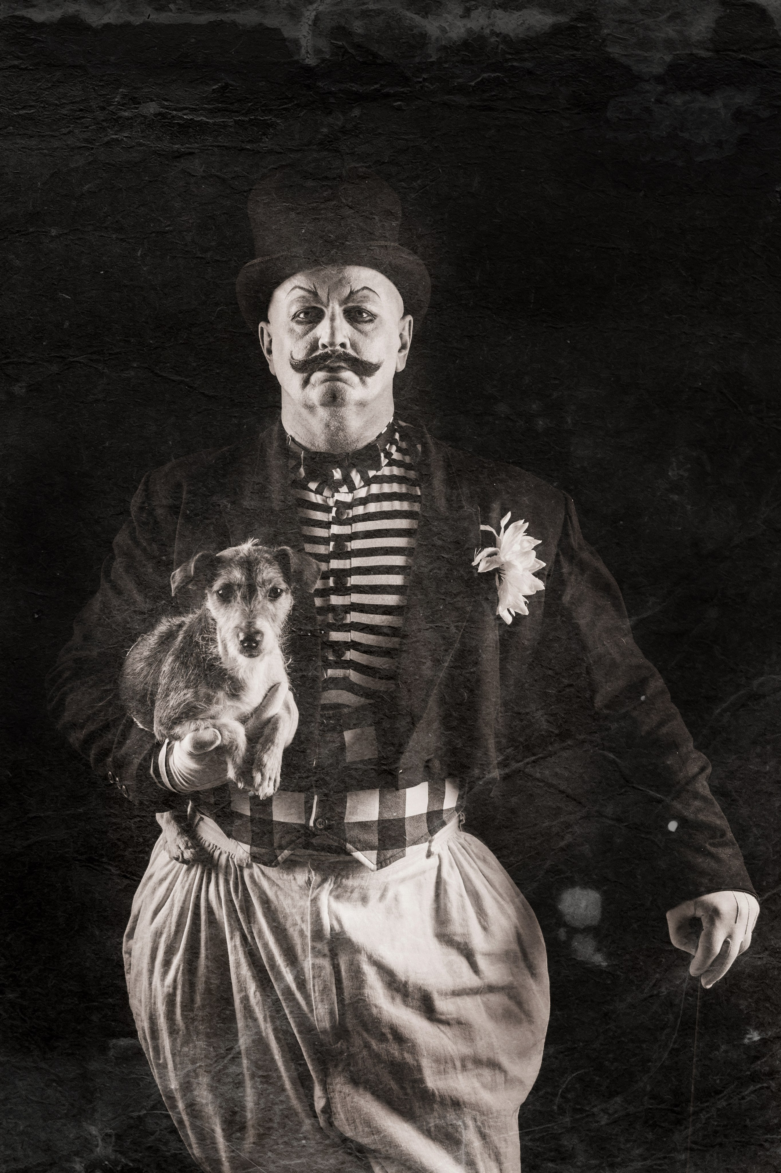 Антикварный цирк. Фотограф Алиса Калинина