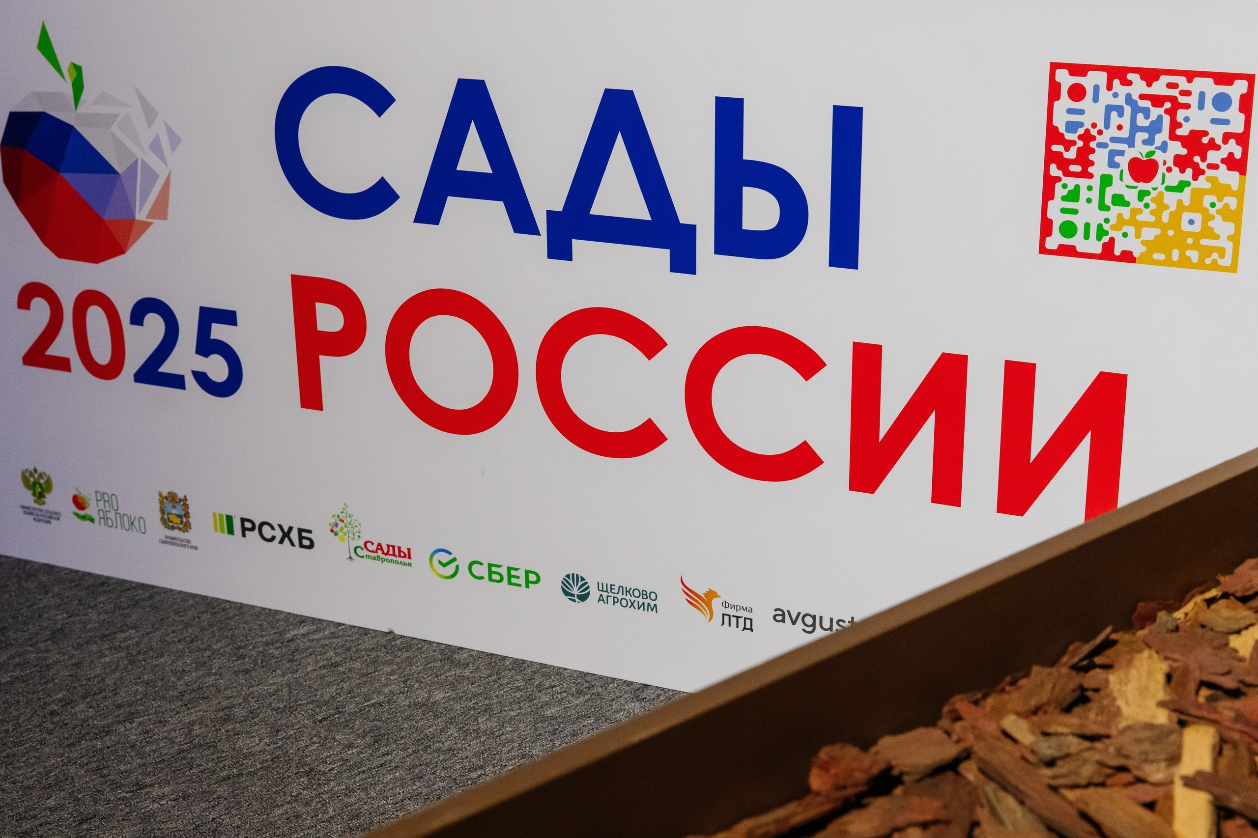 ЭКСПО. Фотограф Николай Петрушкин | Ставрополь, Москва