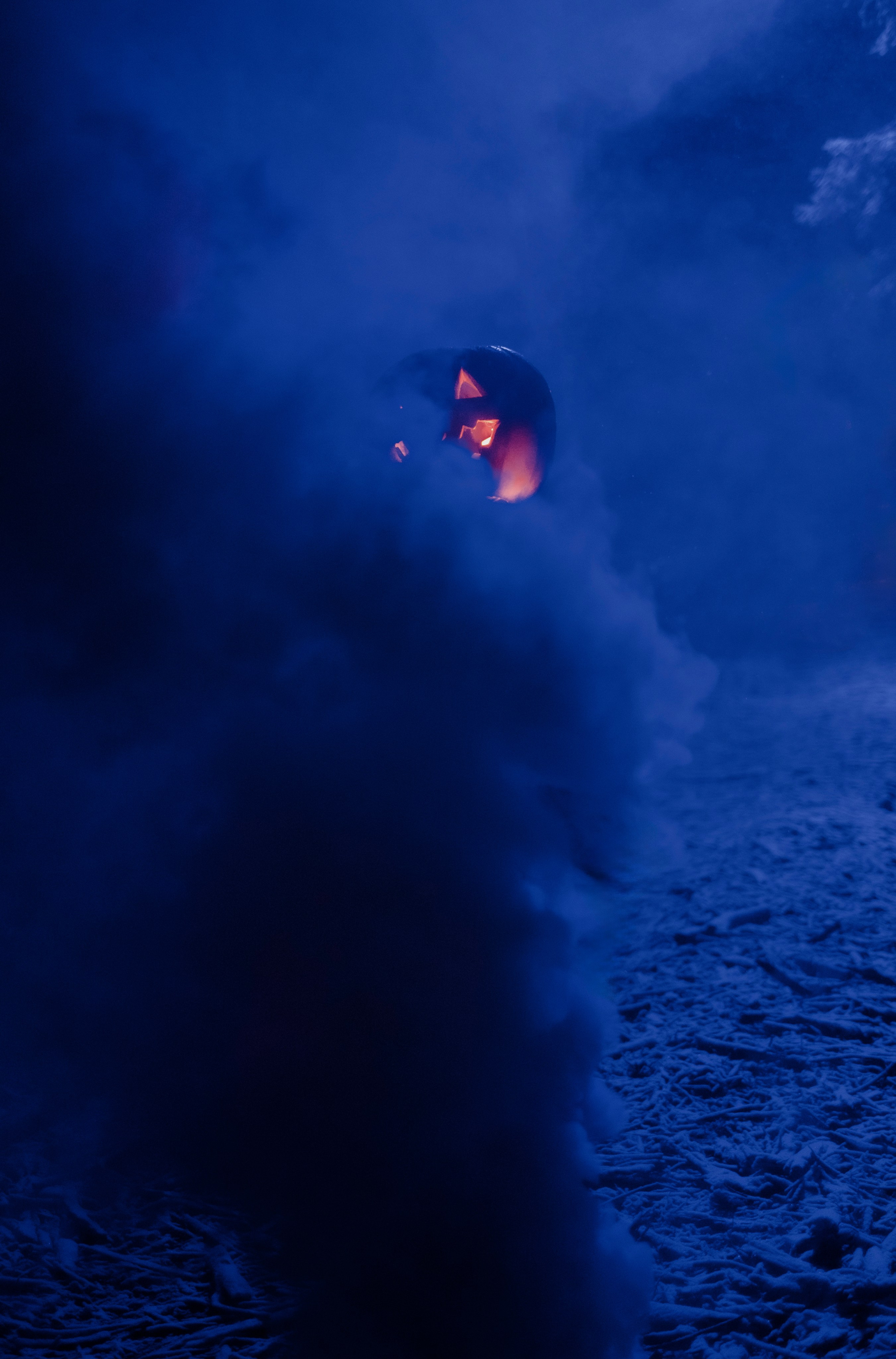 «Избранник тыквенной грядки». Фотограф (Москва, Мытищи)— Комова Анастасия