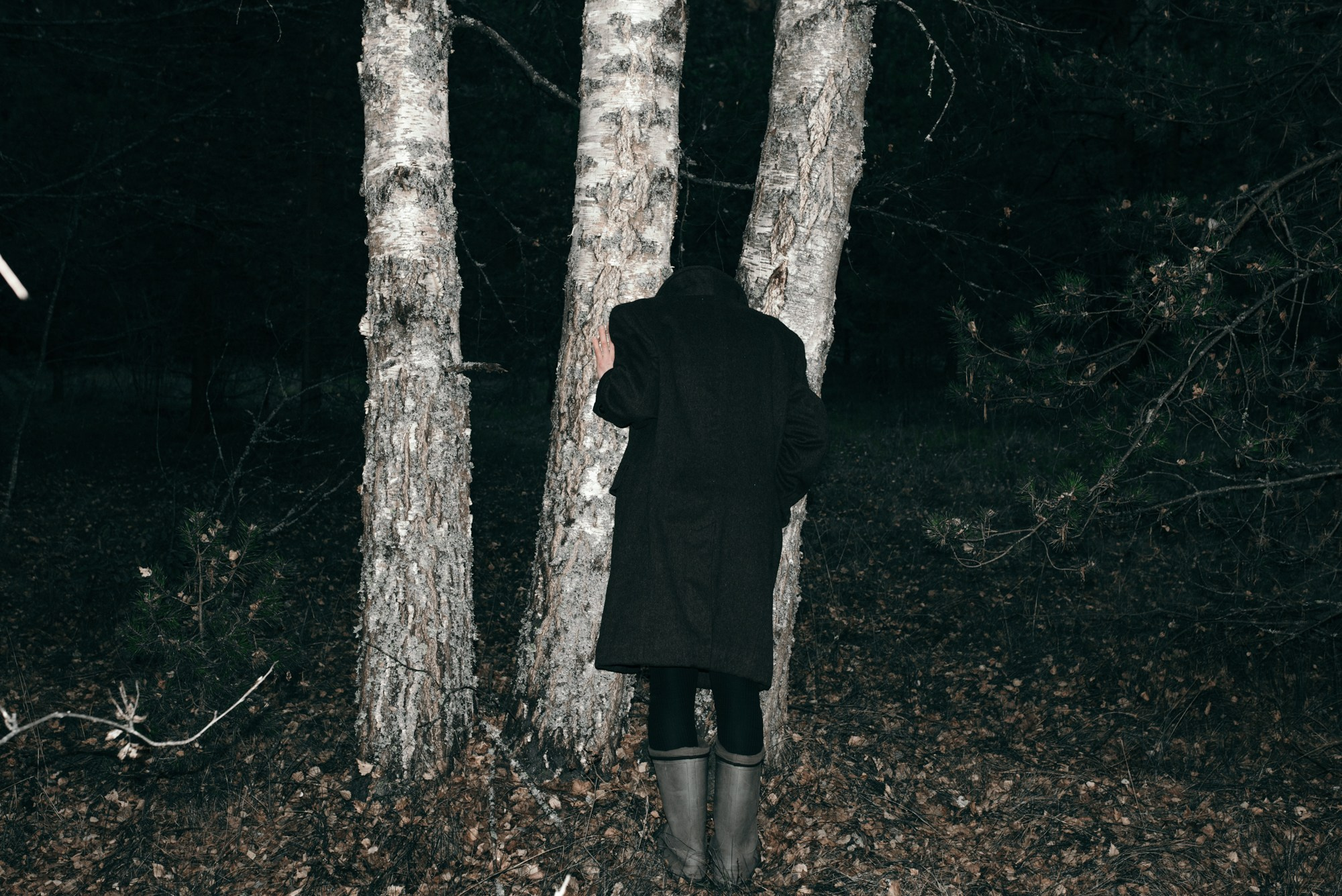 Understory. Tatiana Sikorskaya