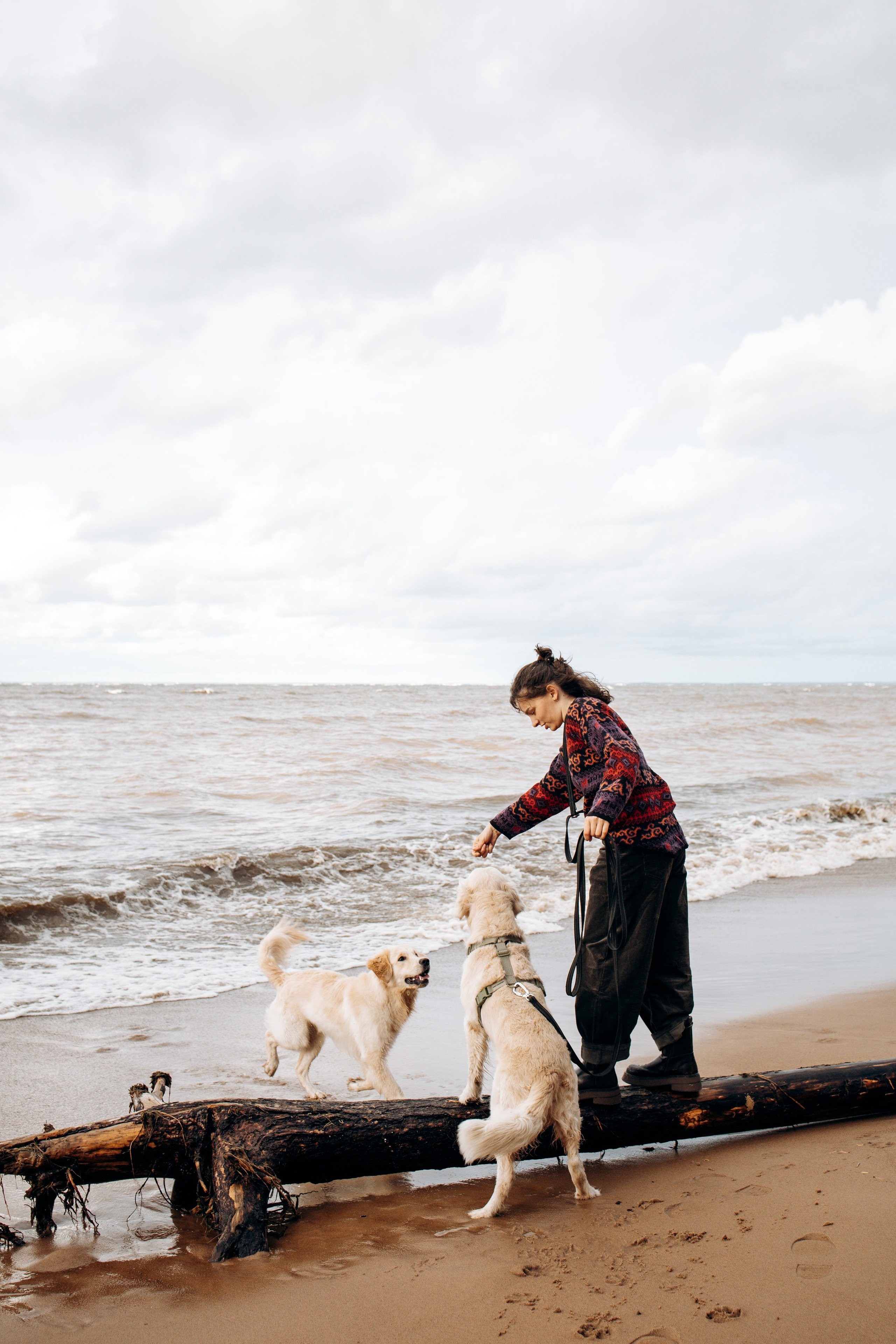 Прогулка Насти с Арчи и Арагоном. Фотограф-анималист в Санкт-Петеребурге Титова Алиса