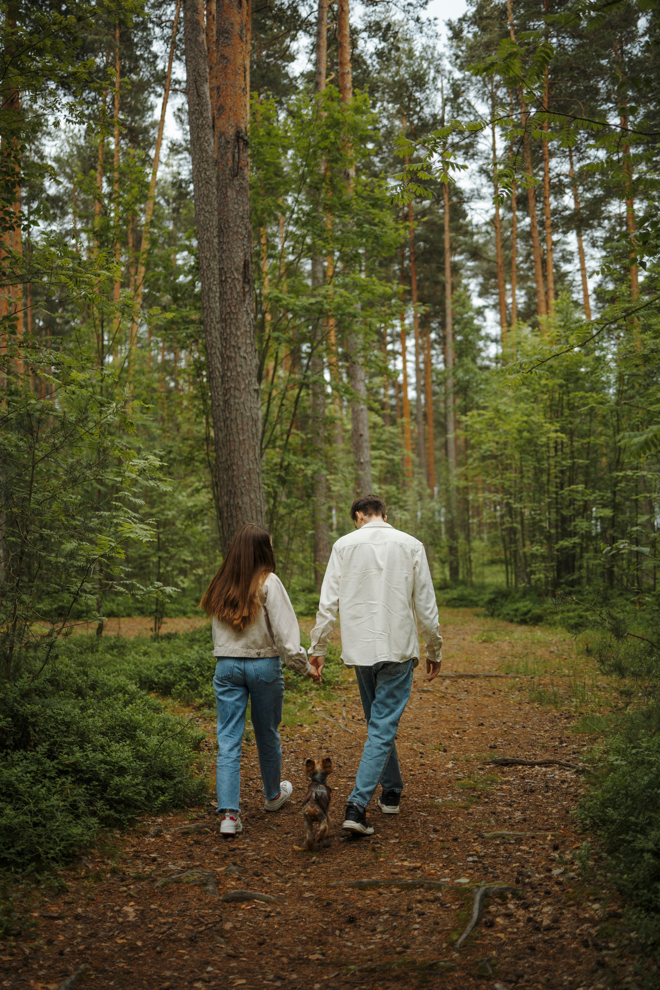 День из жизни Чуи и его семьи. Фотограф-анималист в Санкт-Петеребурге Титова Алиса