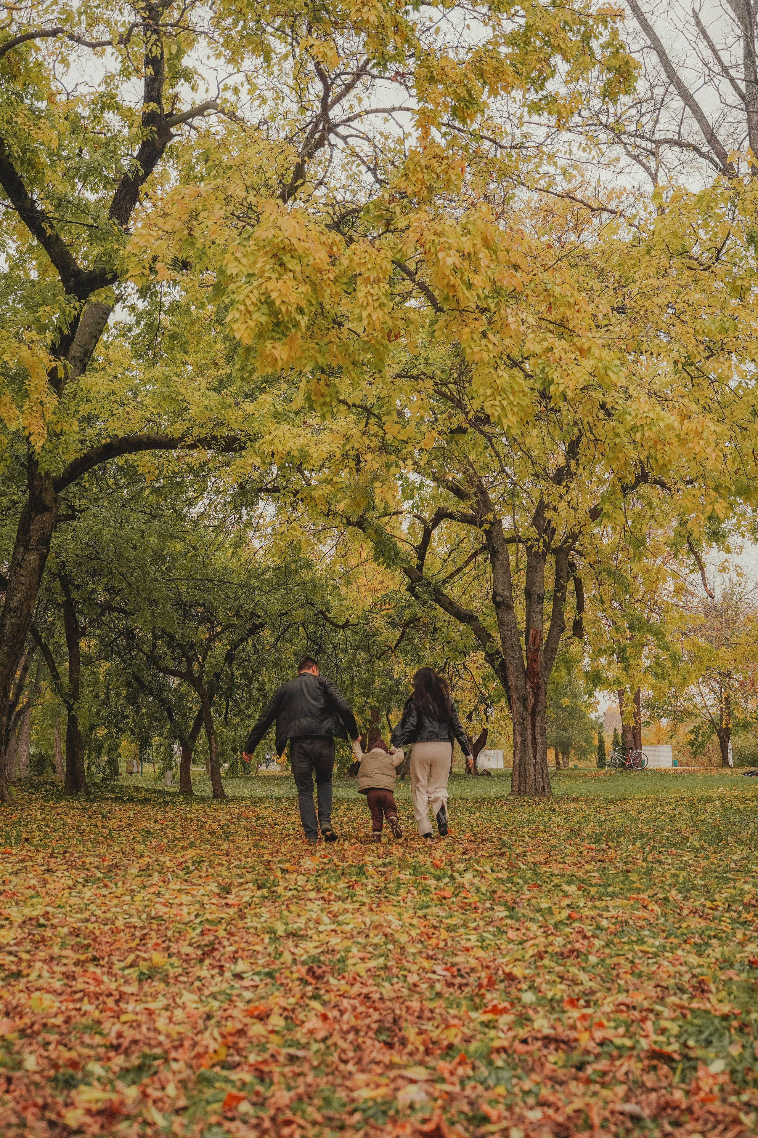 Осенняя фотосессия в парке Солнечный остров. Семейный и женский фотограф в Краснодаре Анастасия Приймак