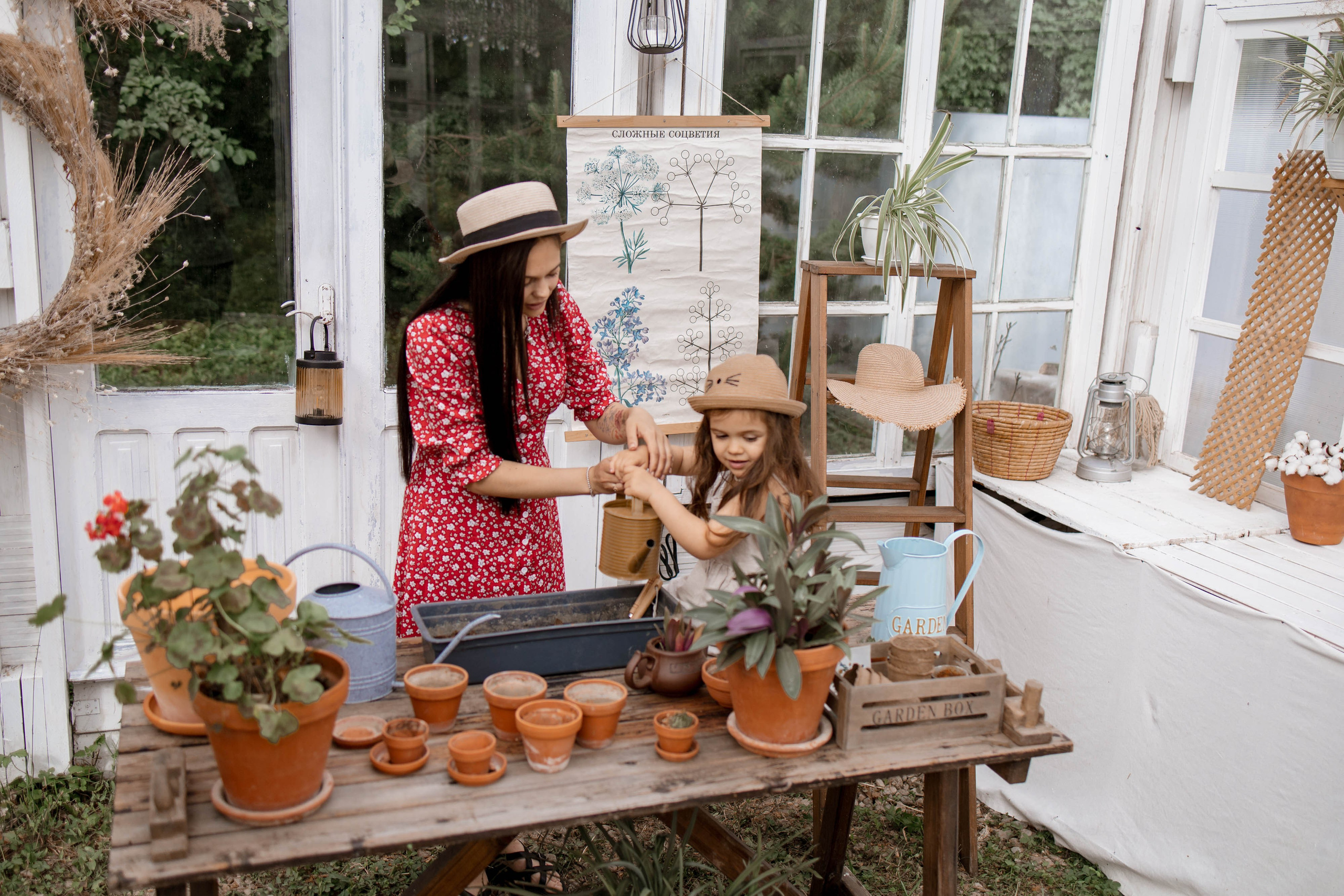 Дачная история