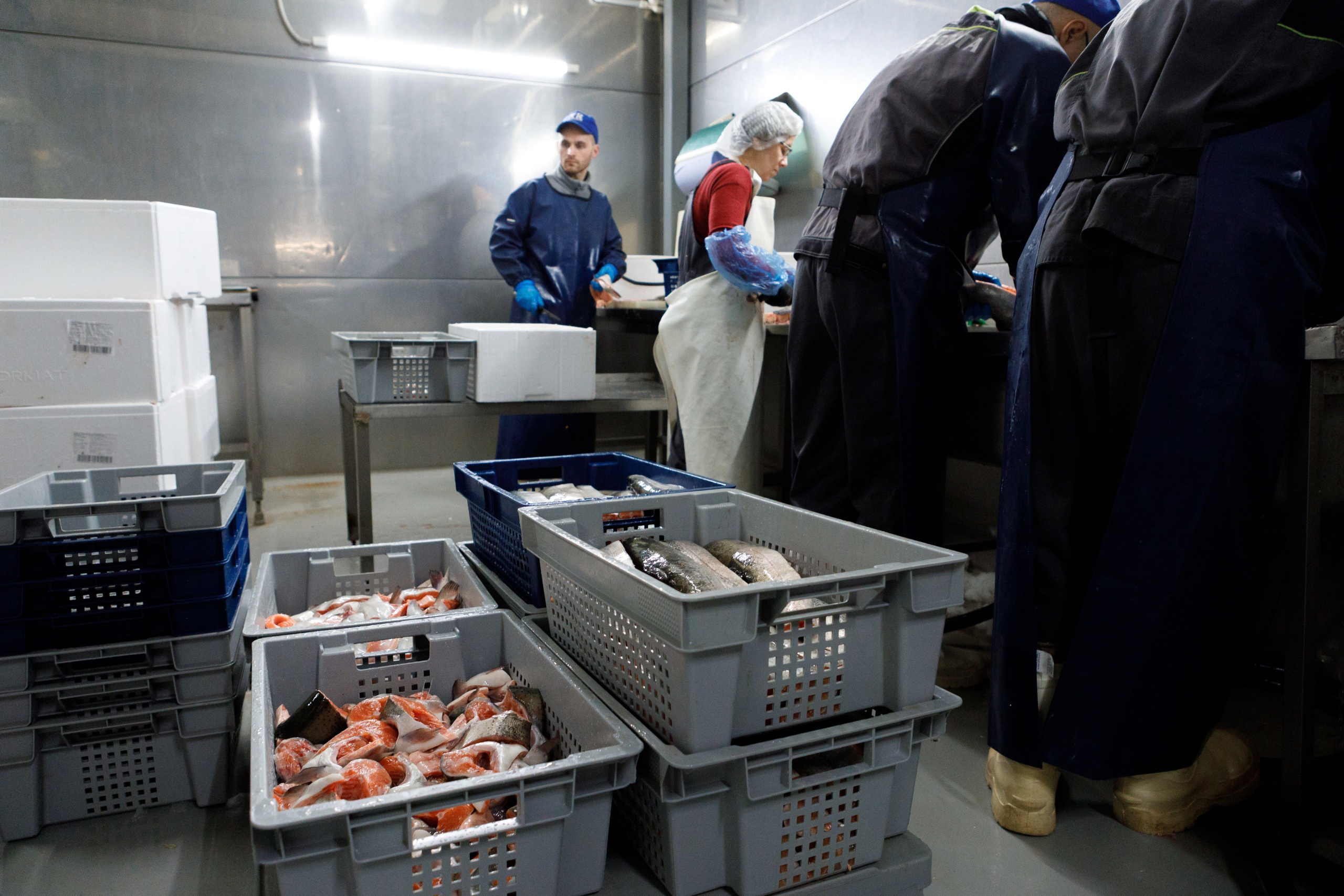 Kala-Ranta Trout Farm. Commercial photographer | Anton Ermakov