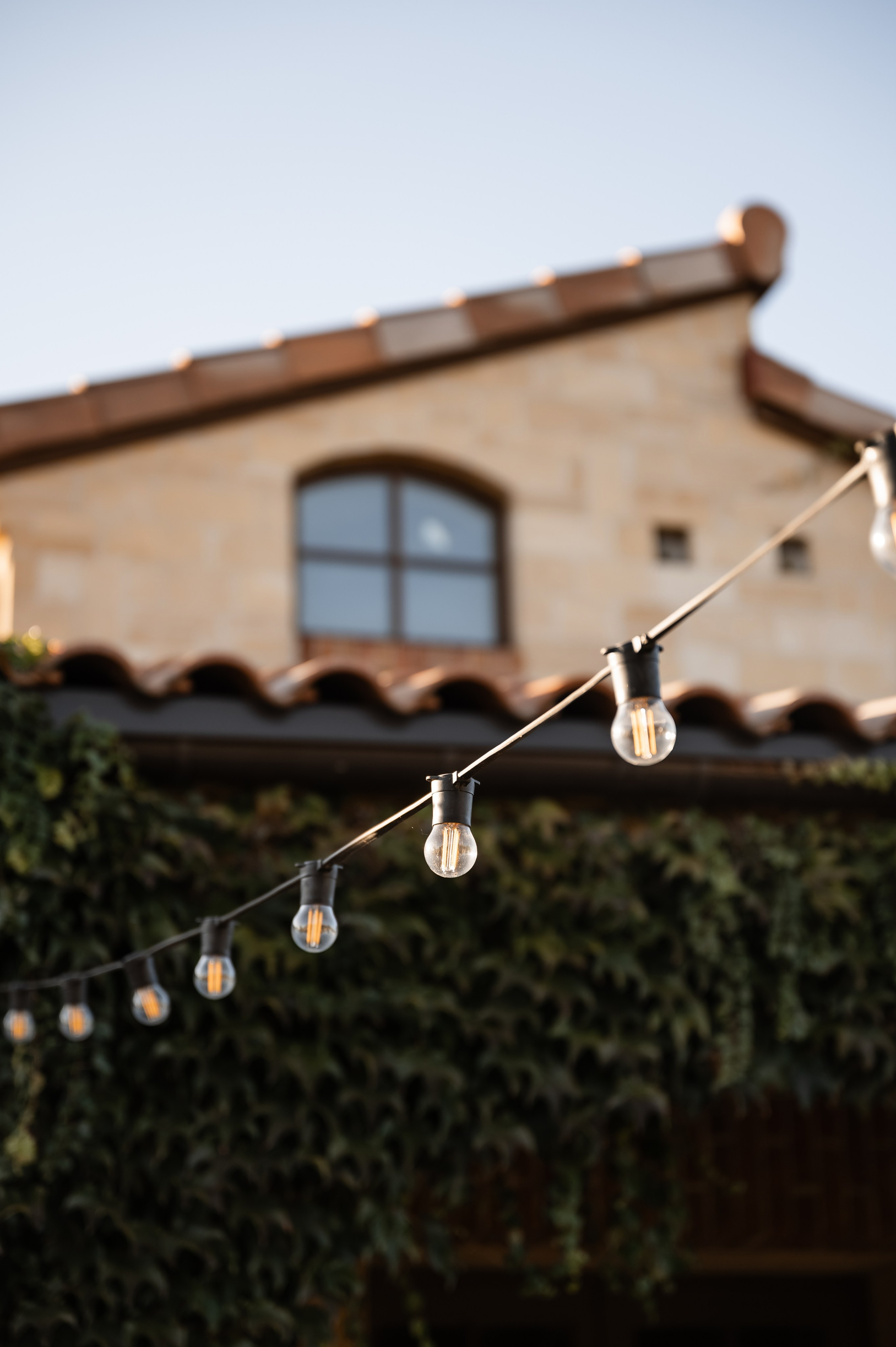 Саша и Лера. Свадебный фотограф и видеограф