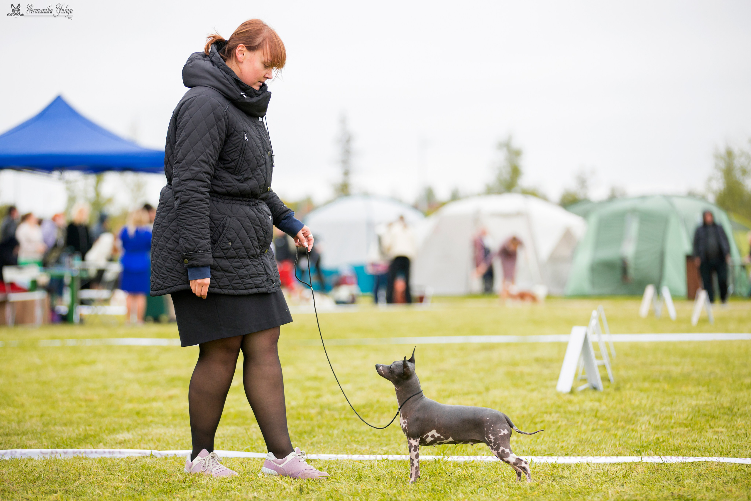 Переславль 9-10.09.2023. Фотограф-анималист Юлия Германика