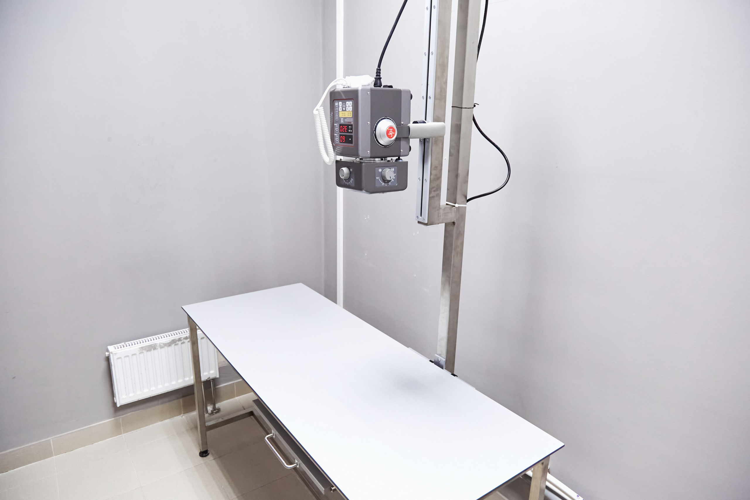 Клиника кошек. Фотограф Анастасия Леонтьева Санкт-Петербург