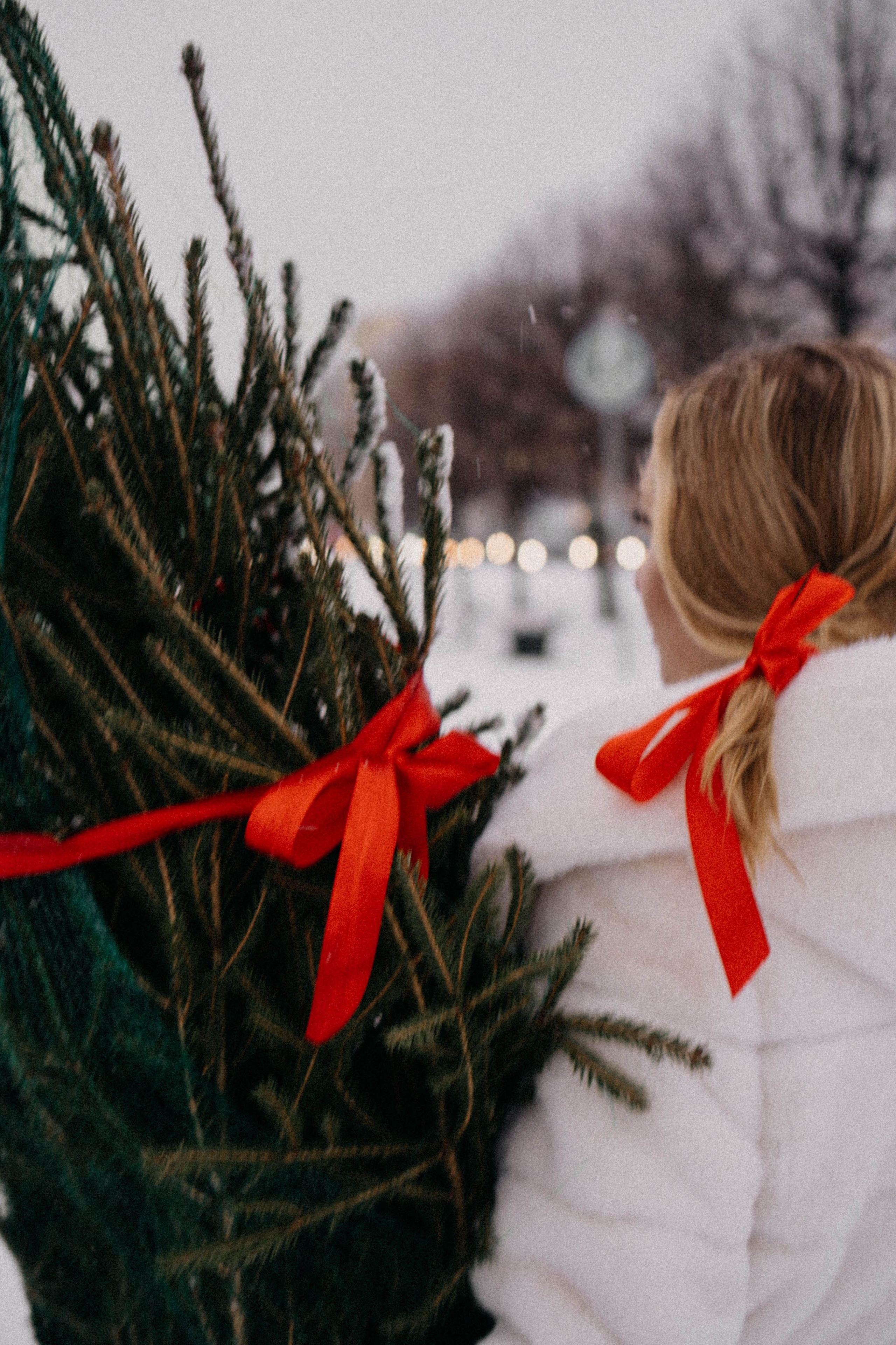 Новогодняя. Профессиональный фотограф, Санкт-Петербург — Виктория Богомолова