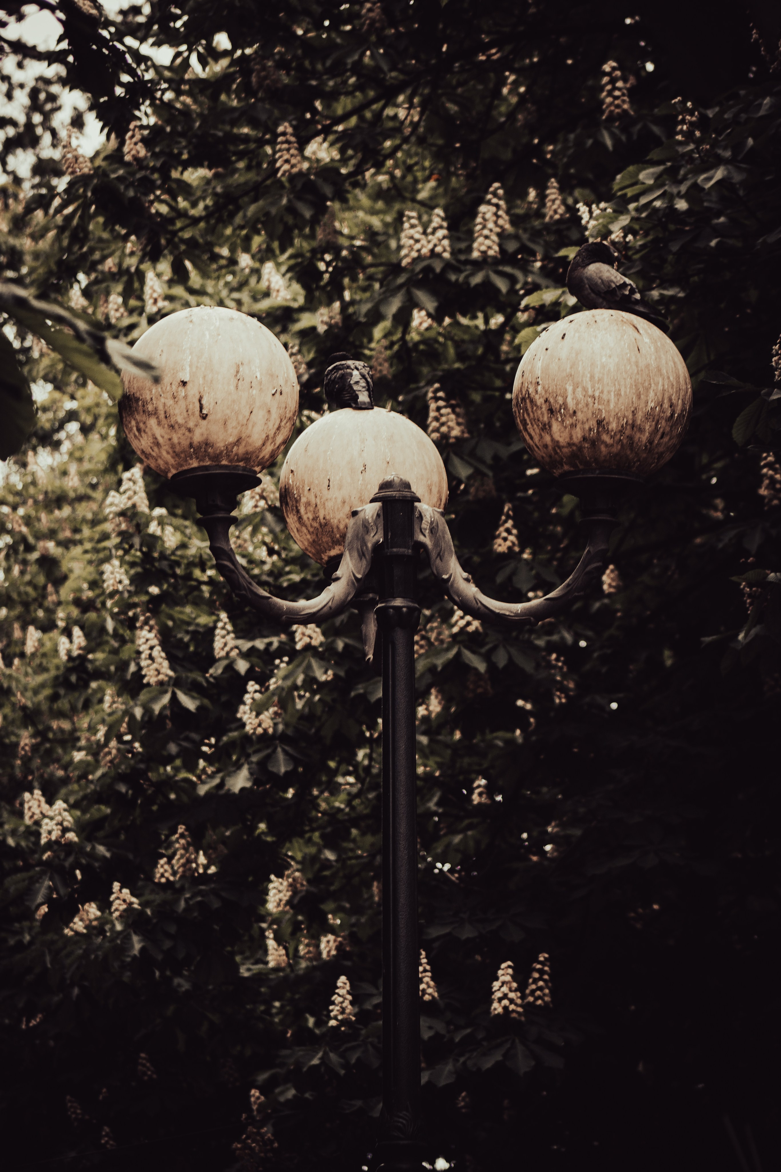 Даниил. Илья Чемис — Фотограф в Мариуполе