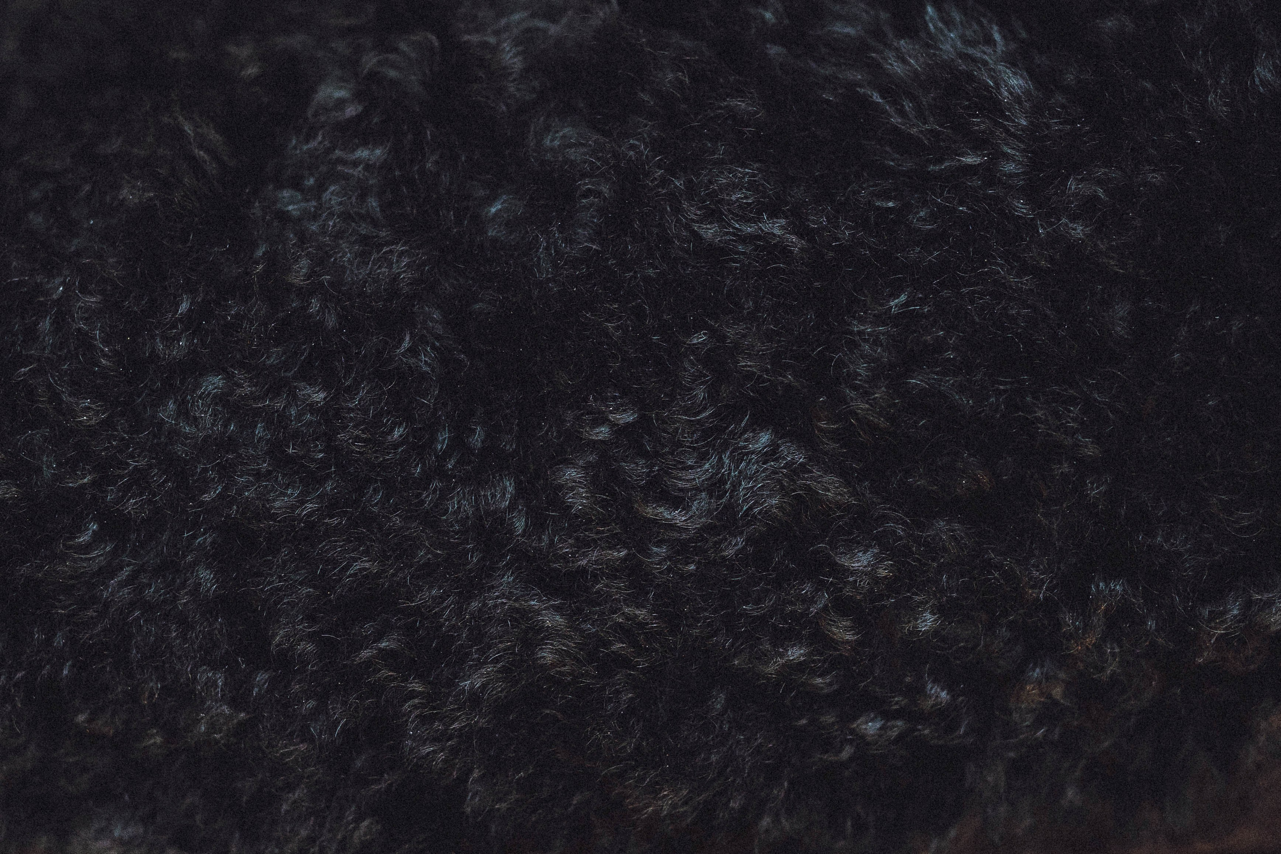 Игнат, Даша и Бэтти