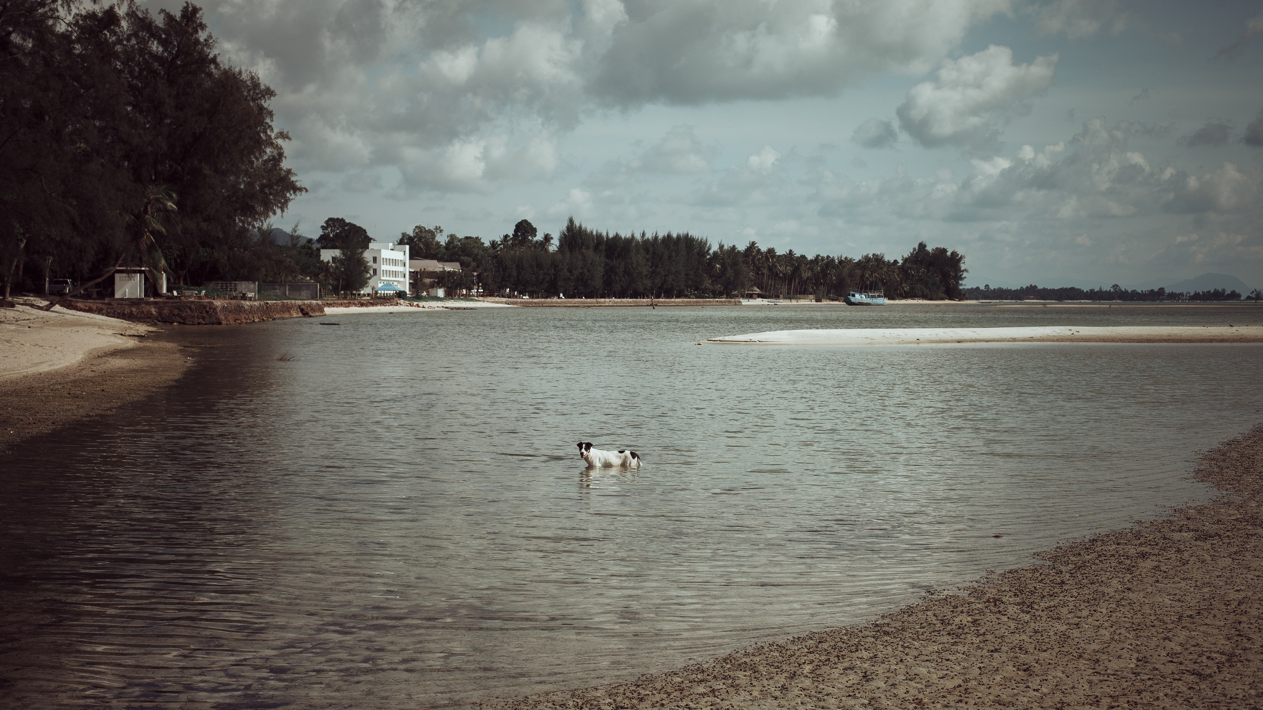 Самуи Собачий остров. Ню Фотограф Александр Касымов Москва, фотосессии, Химки фотограф