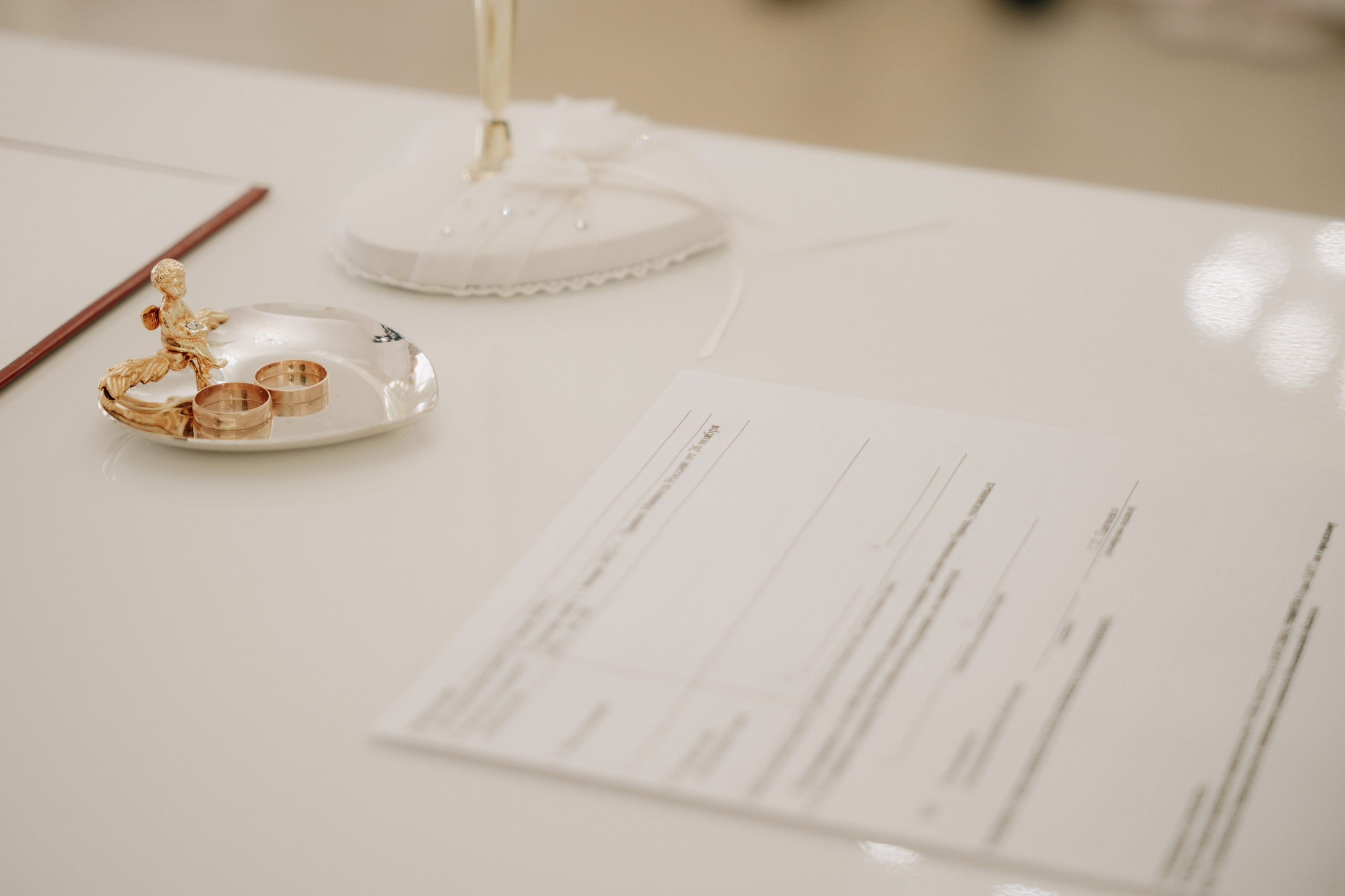 Роспись. Фотограф и видеограф Мария Банщикова, Солнечногорск, Москва