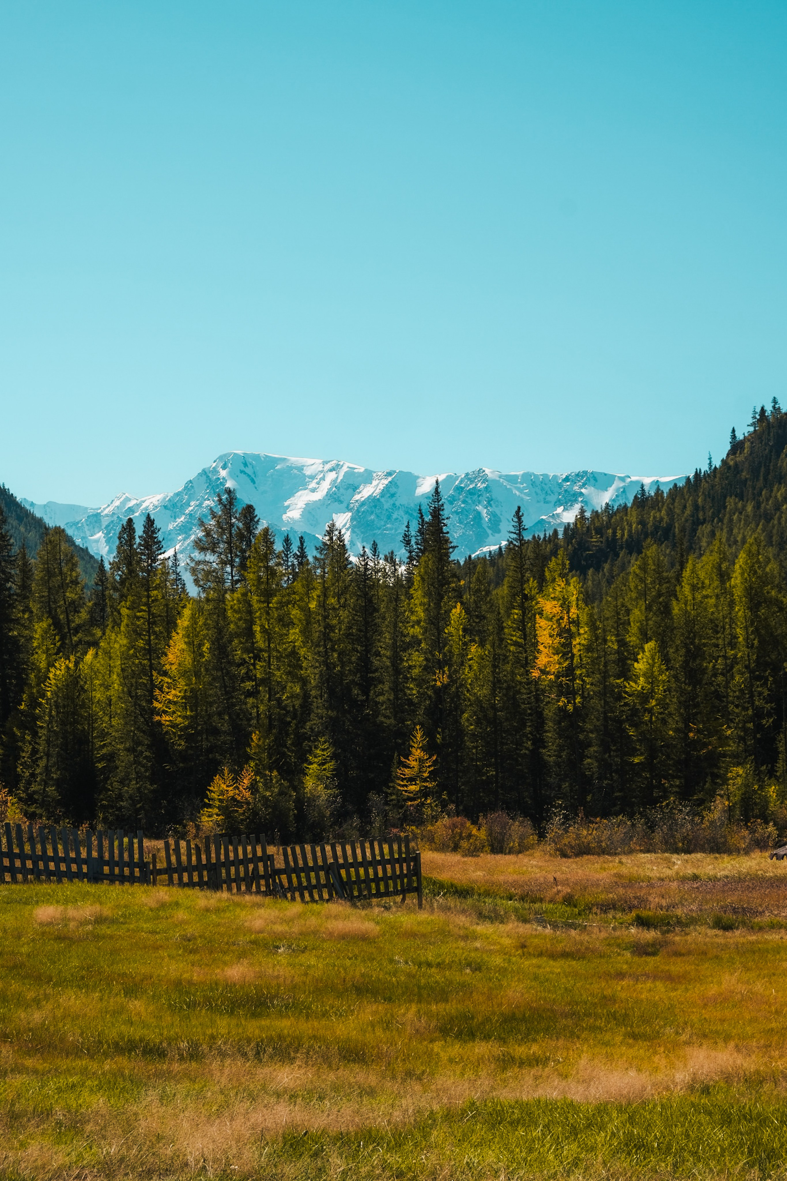 Altai 21'. Фотограф в Тюмени Кирилл Марфин
