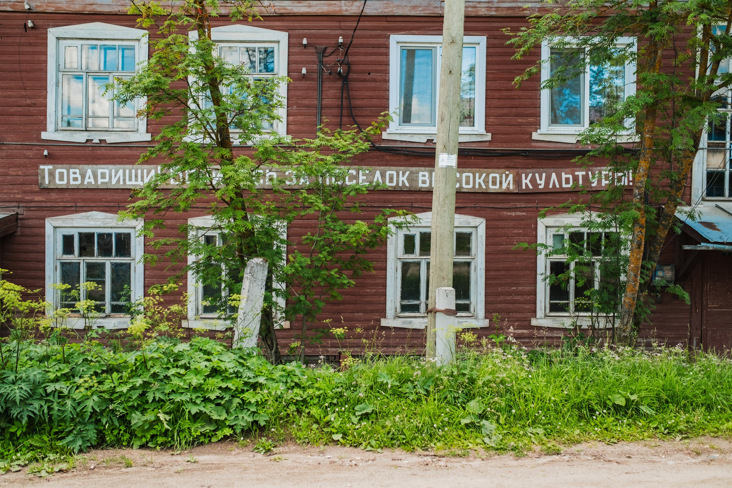 Пинежье. Июль 2026 г. Портретный, репортажный и пейзажный фотограф в Москве Сергей Арест