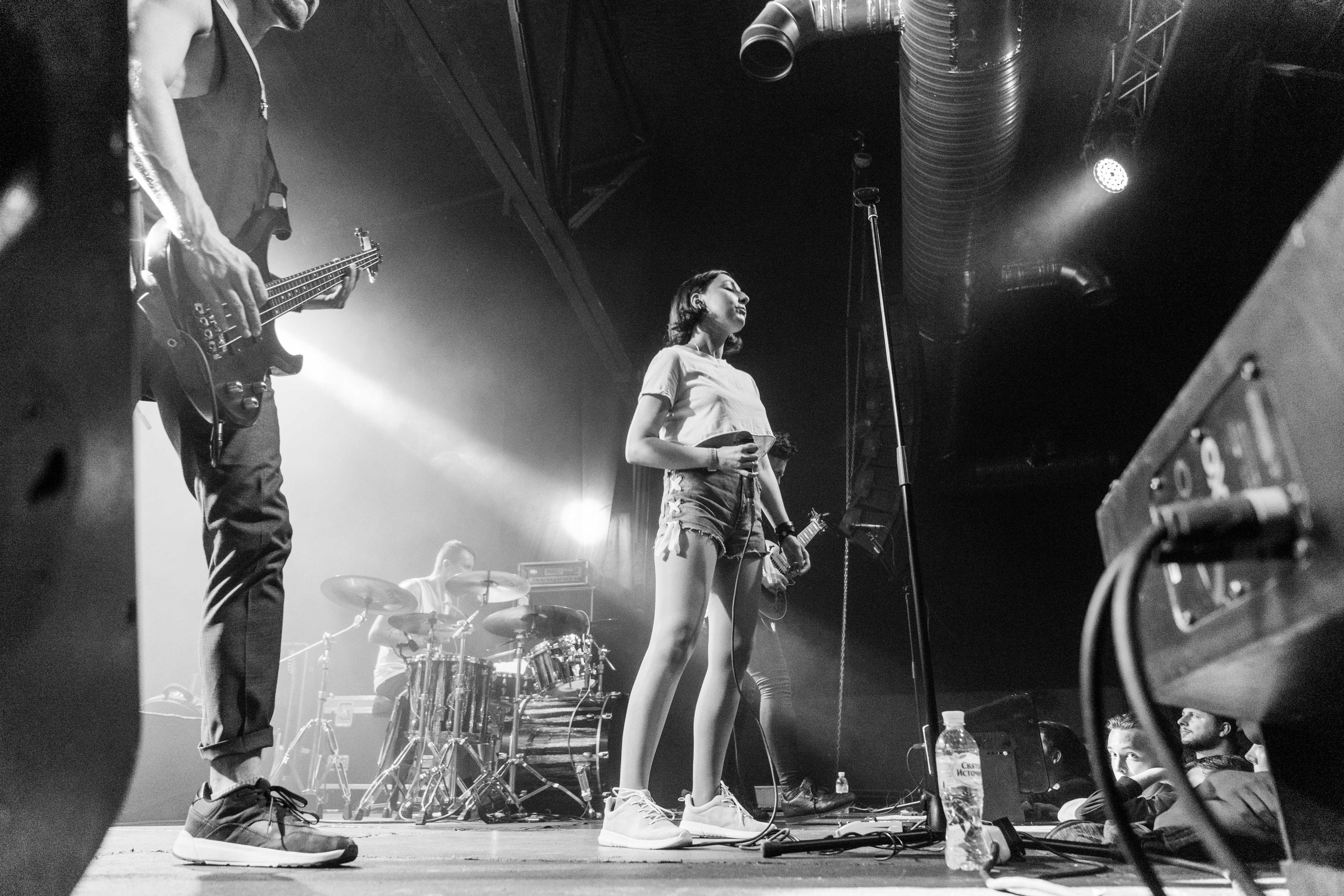 NextDoorHaven. Твой фотограф — Полосатый кот