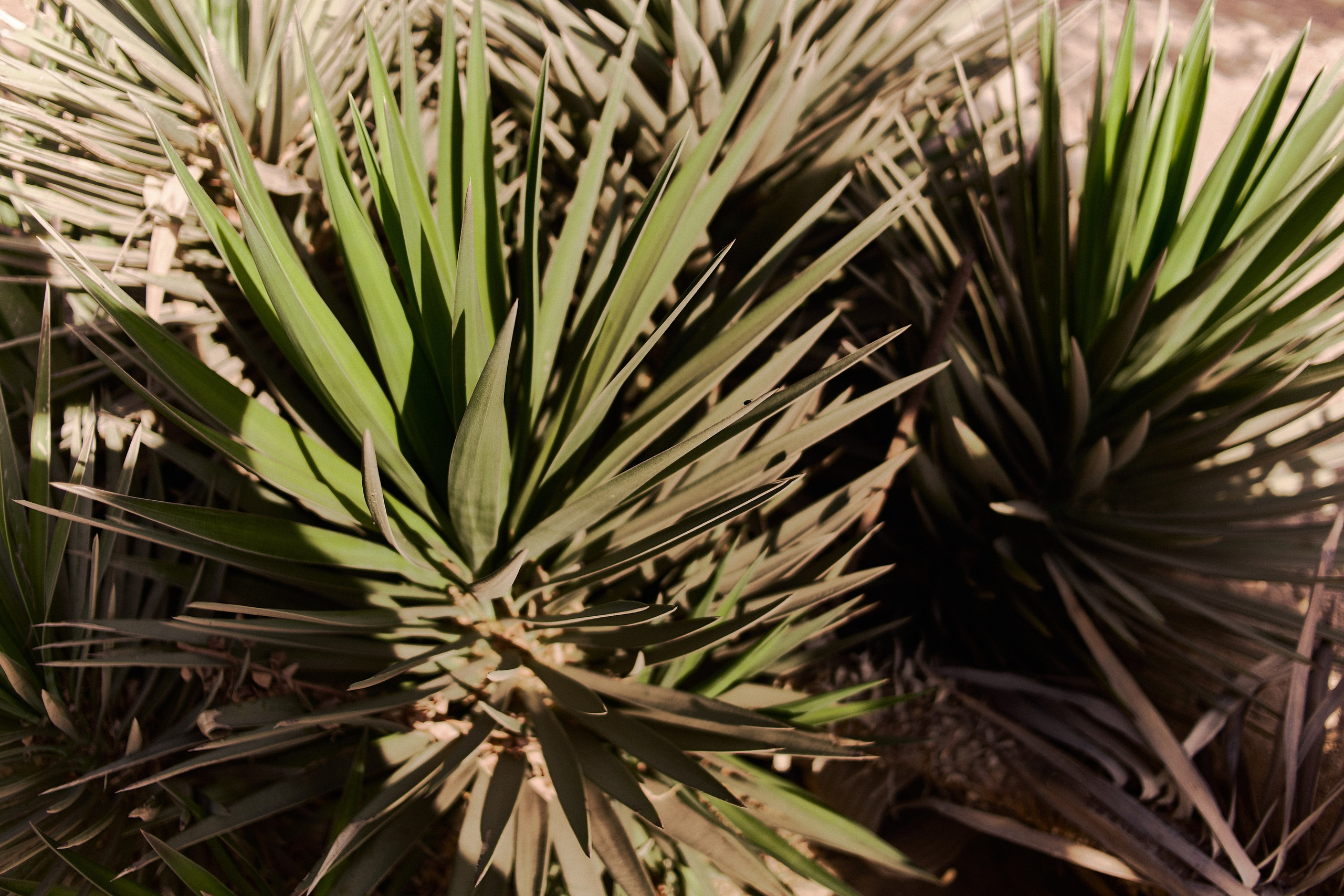 Улица горизонтальная. Jorgis — фотограф в Хургаде / обучение фотографии