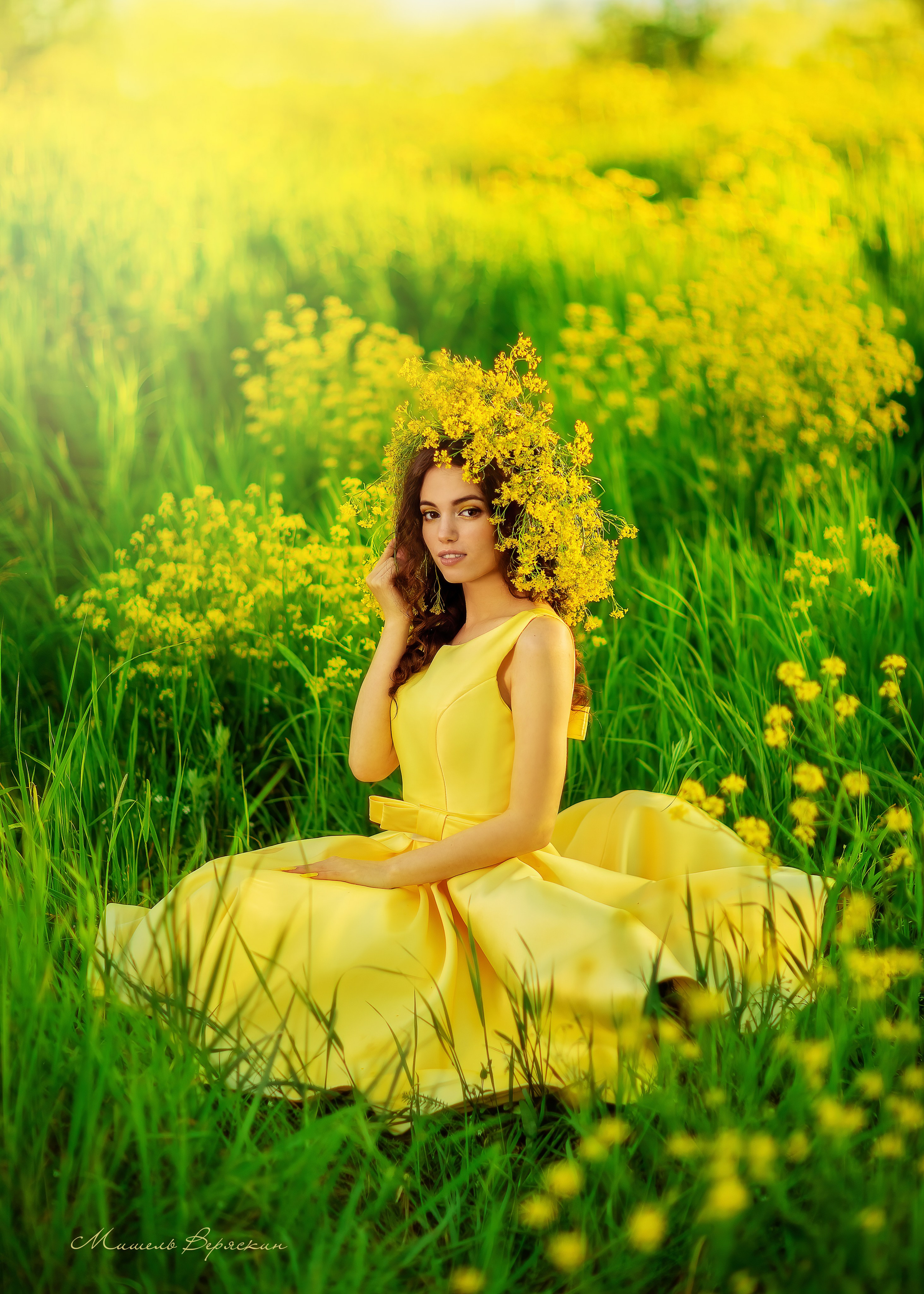 Рапсовые истории