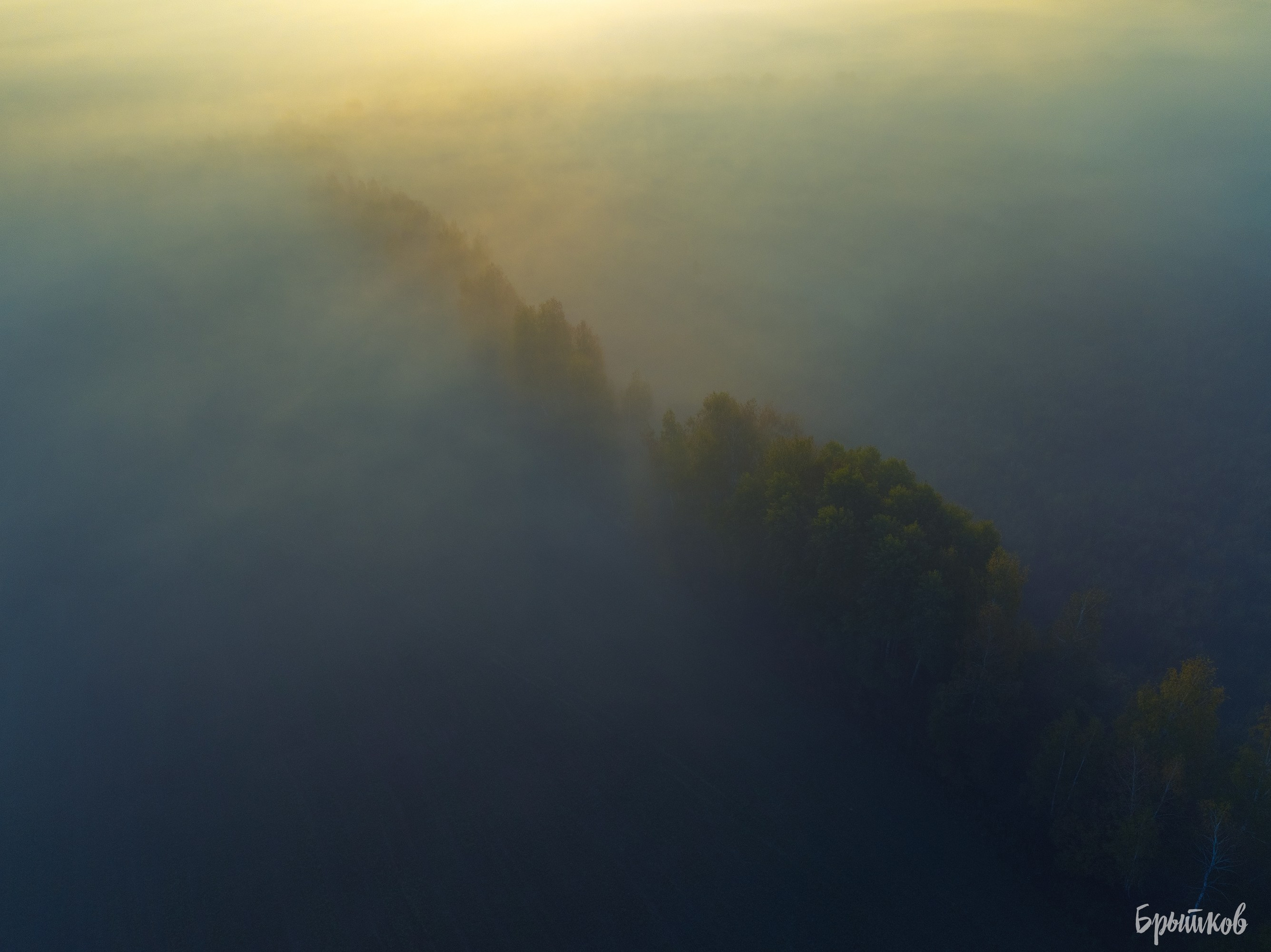 Бежин луг туман Брытков Николай