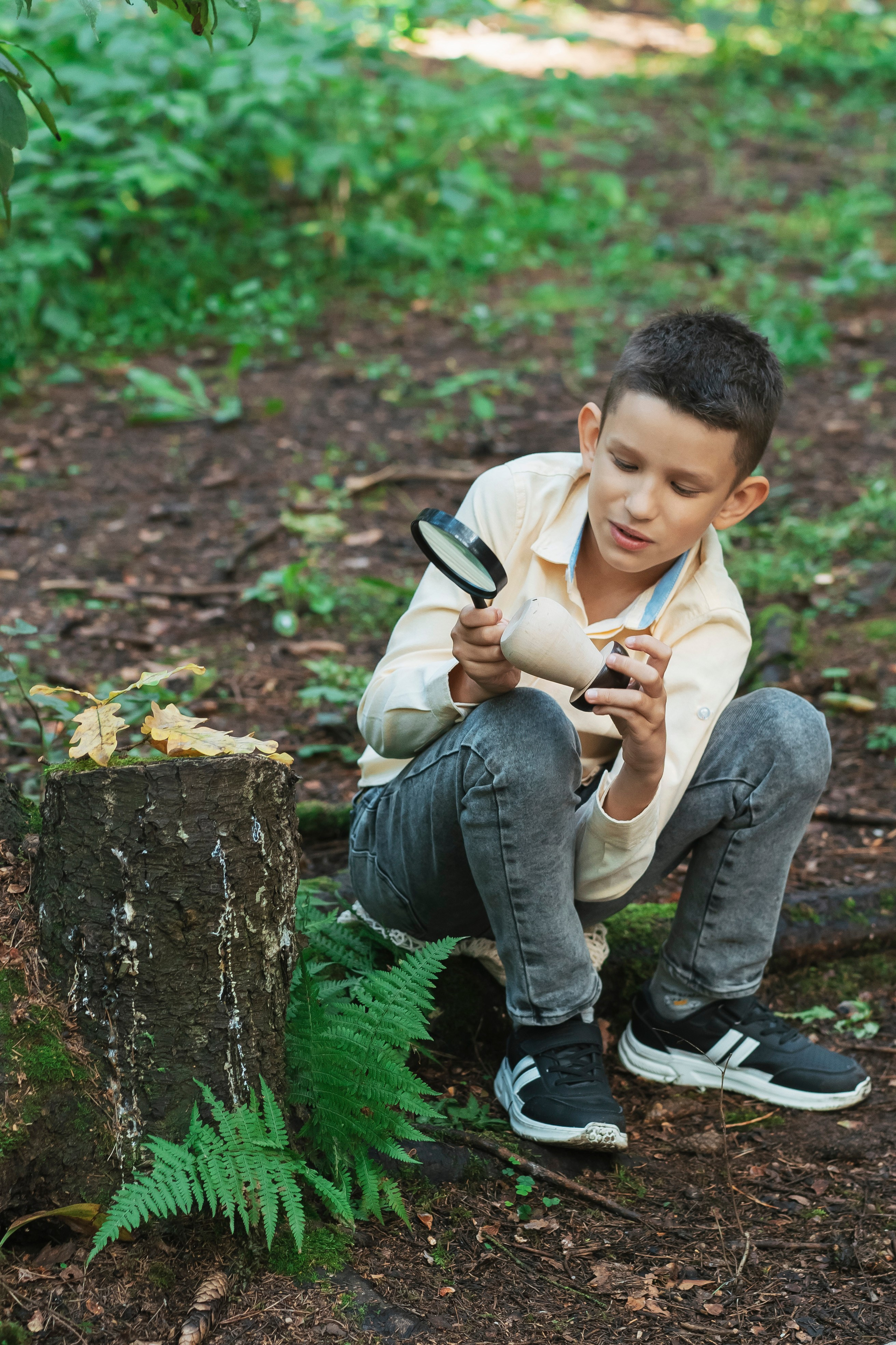 Осень в лесу. Brand photographer