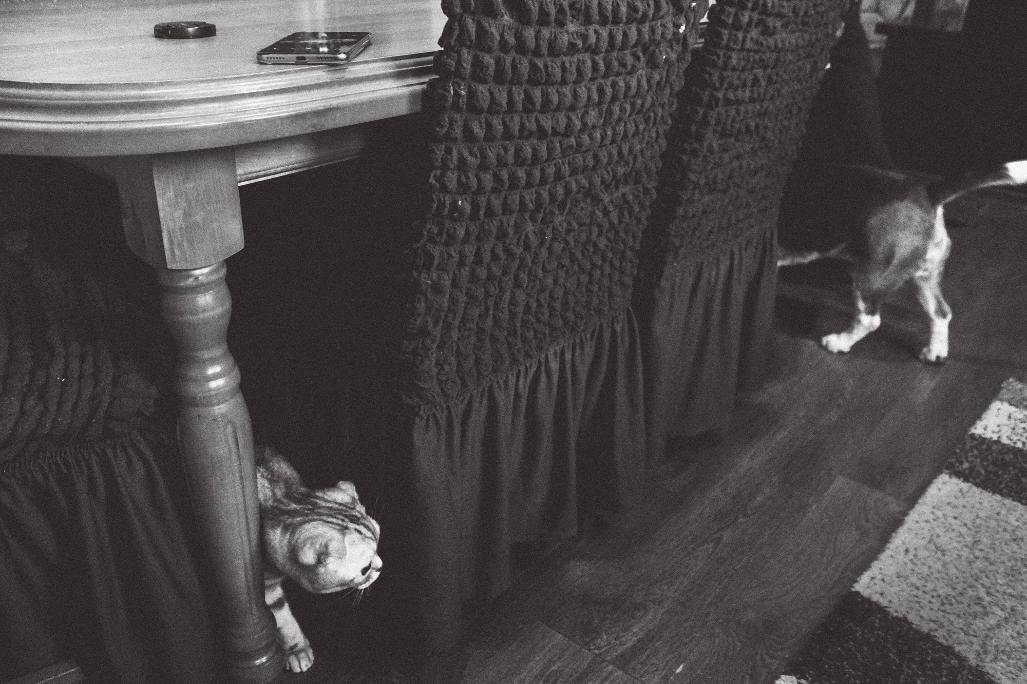 Семейная. Фотограф в Самаре Варвара Макарова