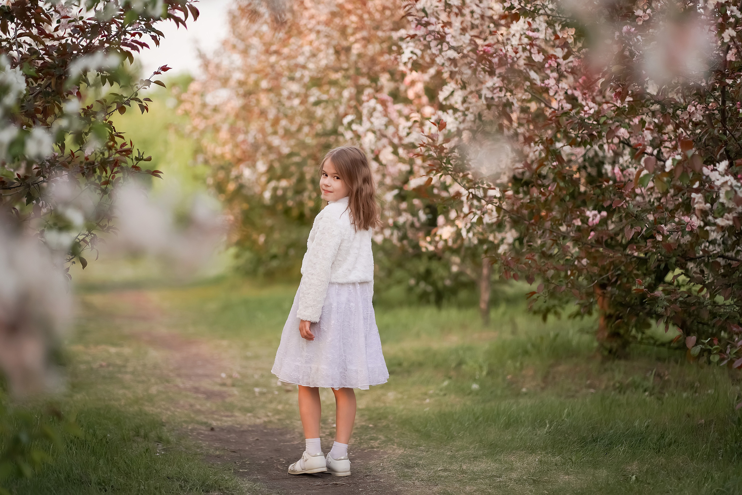 Цветение. Фотограф Татьяна Митрофанова